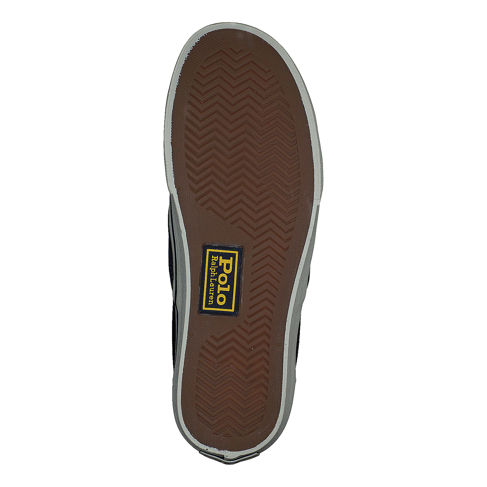 Keaton Polo Bear Canvas Sneaker Navy Bear