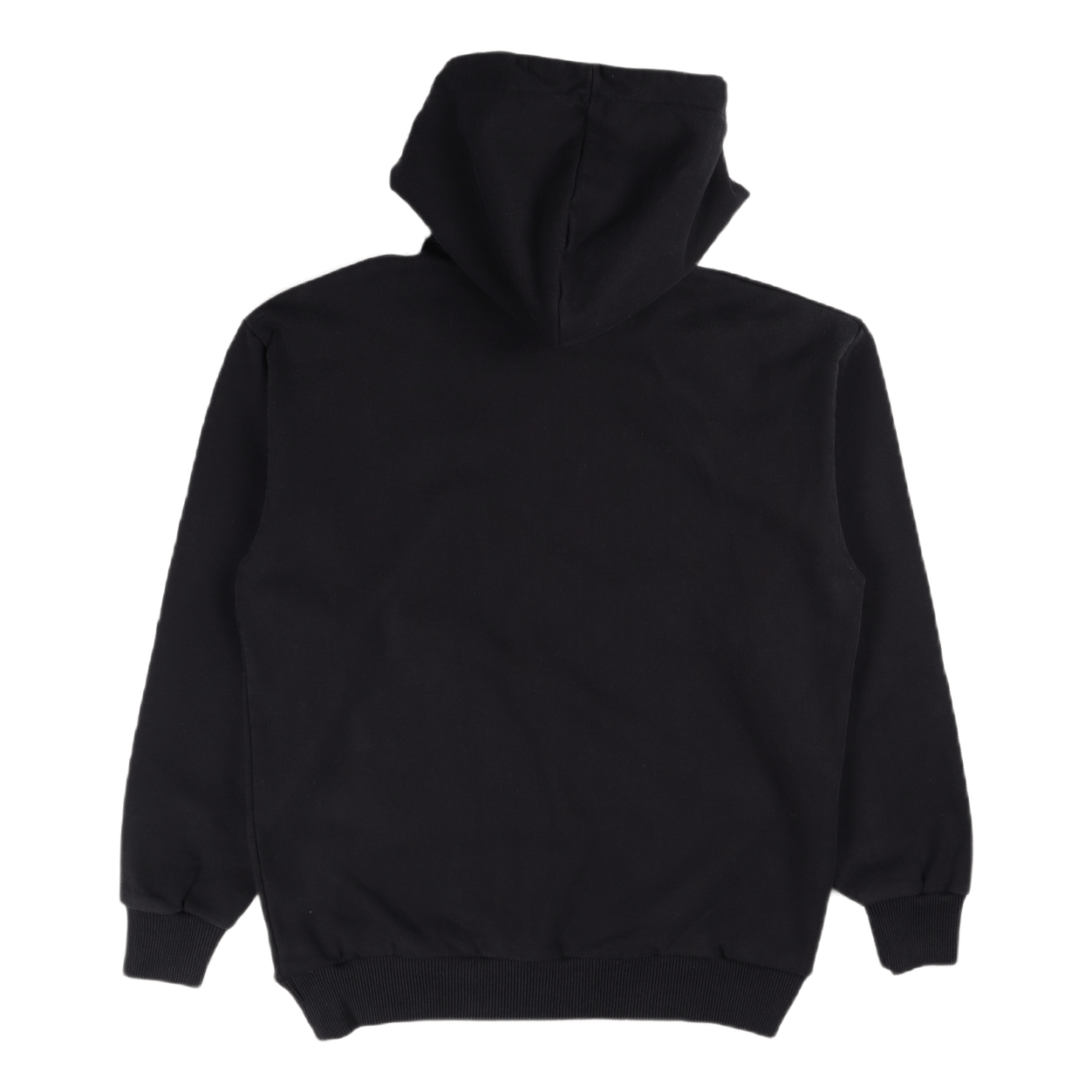 Artwork Hoodie Faded Black Alien