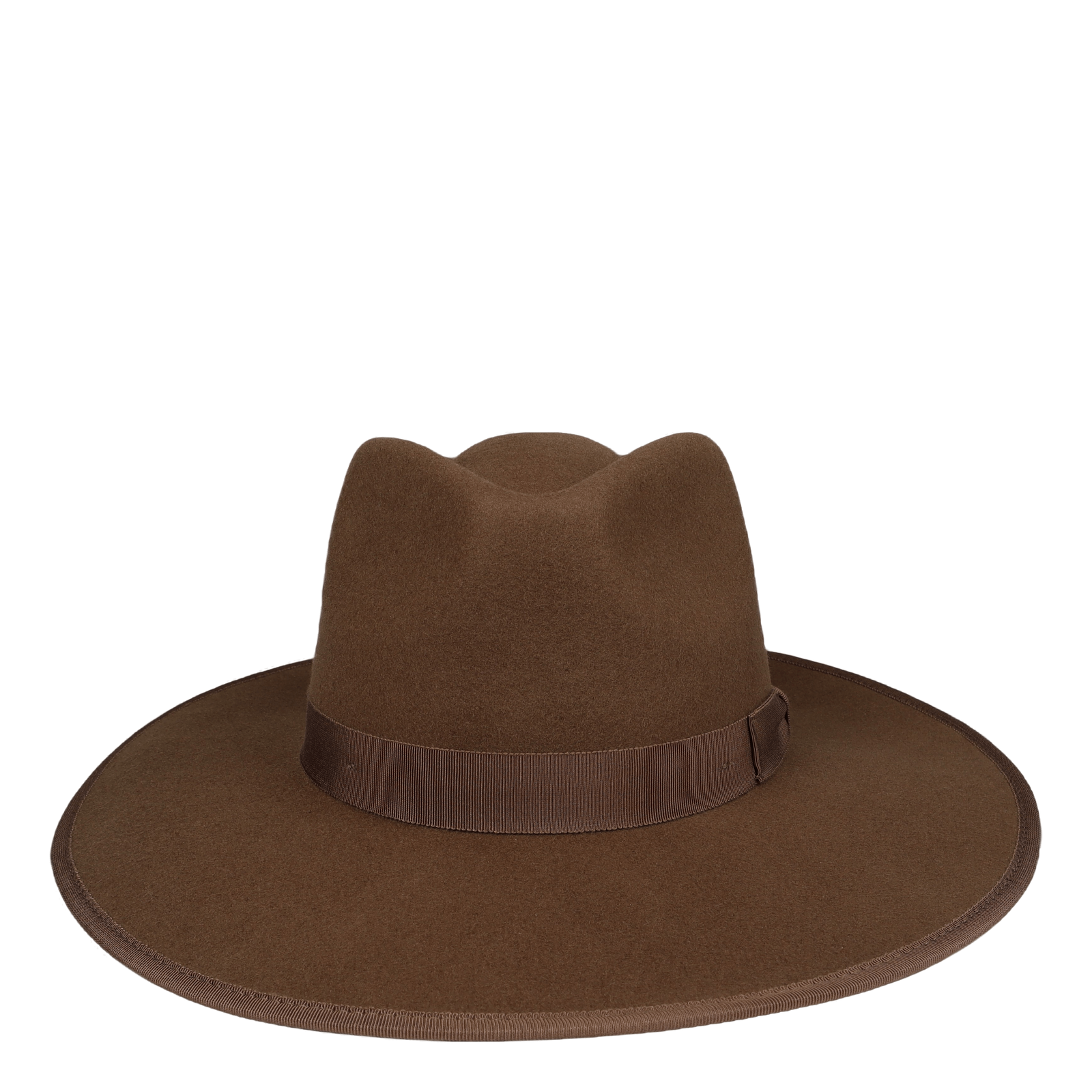 Jo Rancher Desert Palm