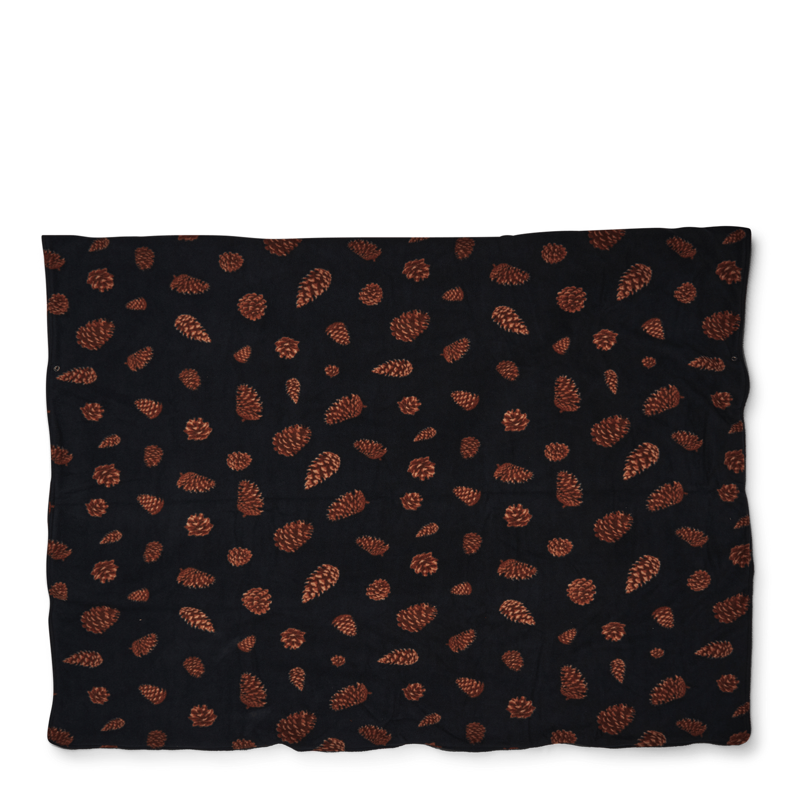 Hibernator Pine Cones