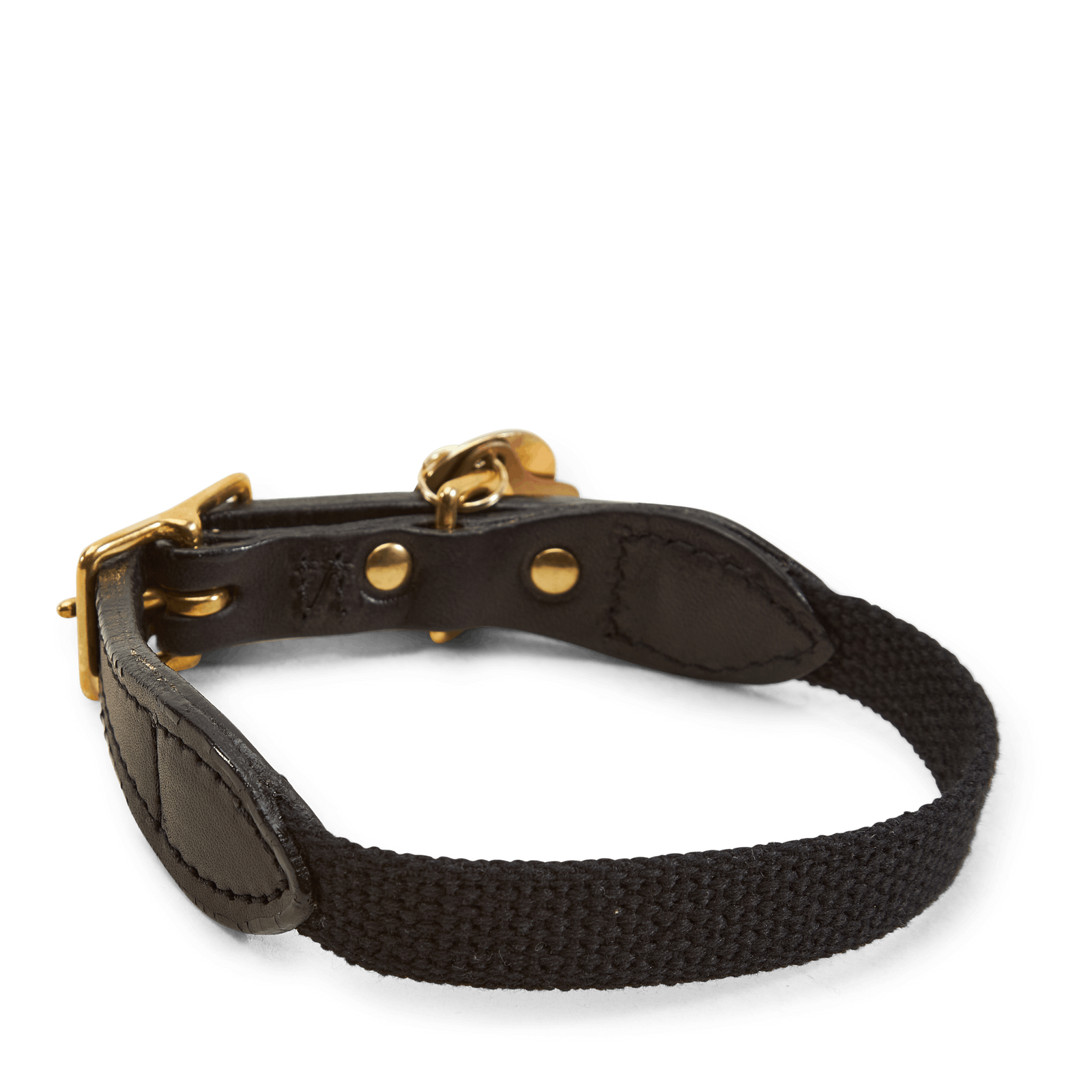 Found My Animal / Cl-collar Black