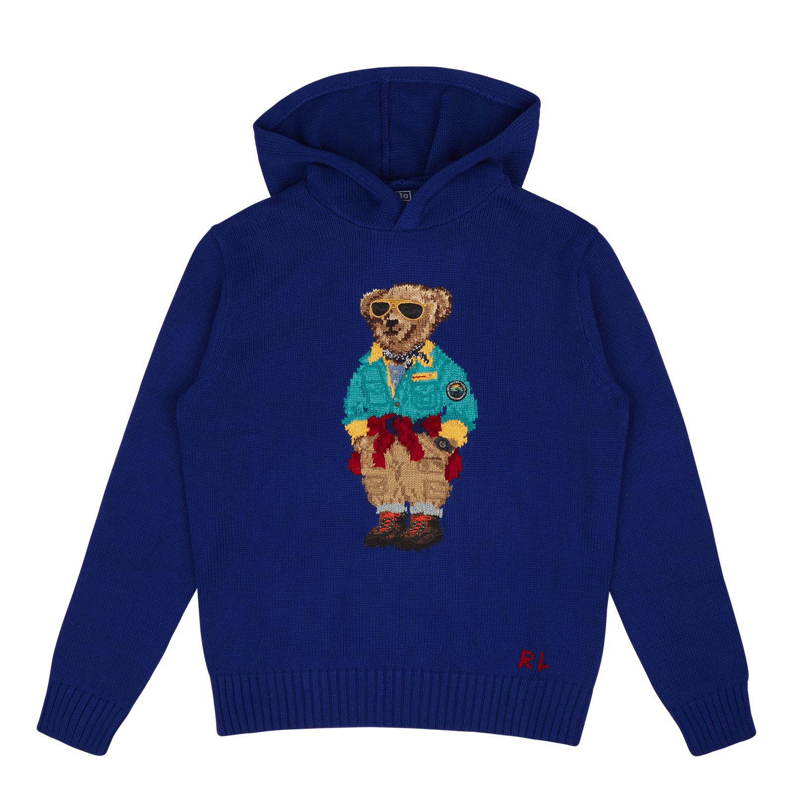 Polo Bear Hooded Sweater