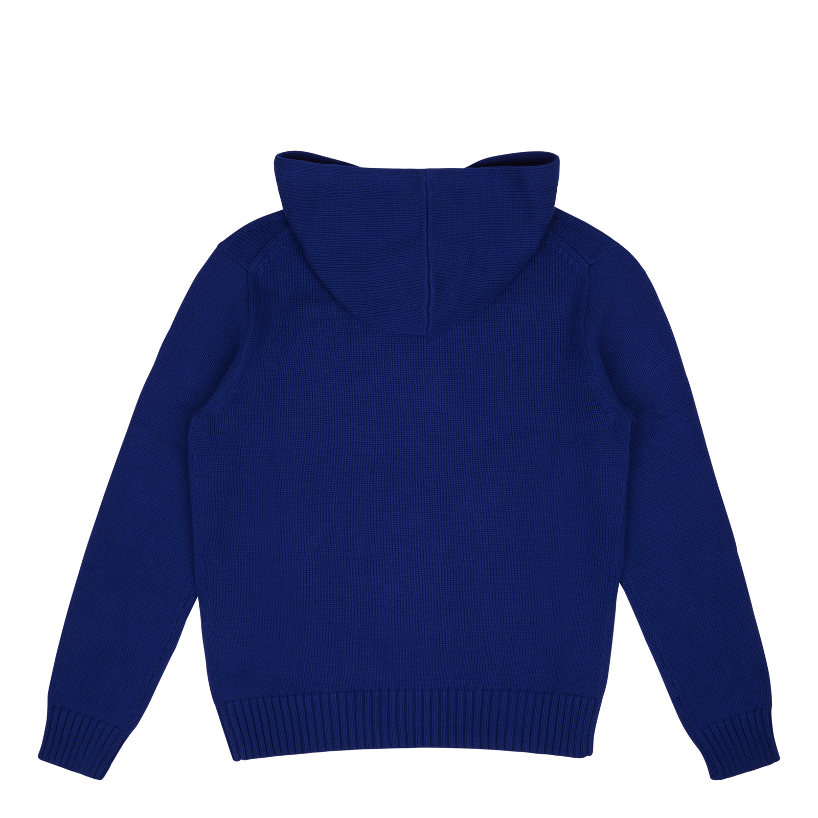 Polo Bear Hooded Sweater