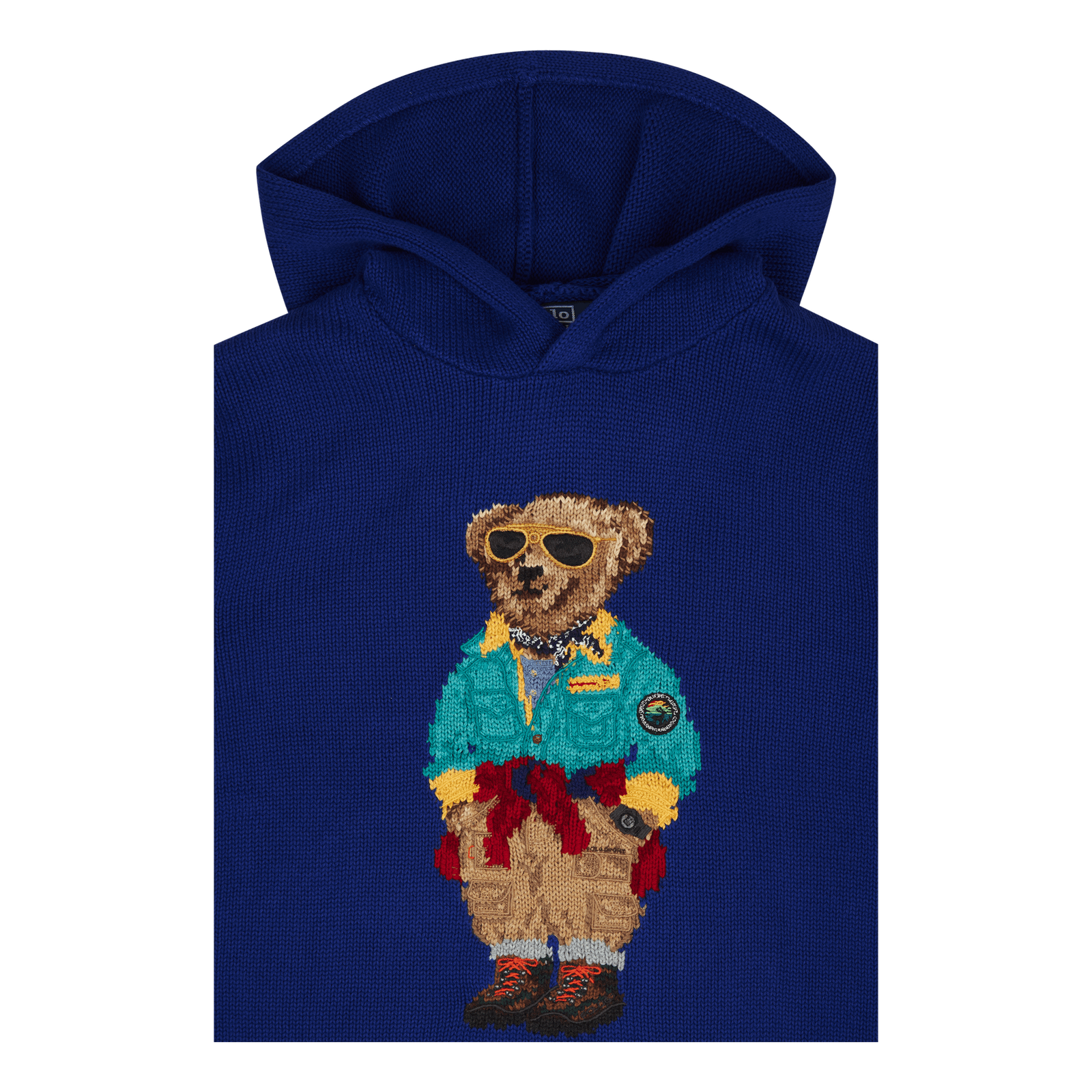 Polo Bear Hooded Sweater