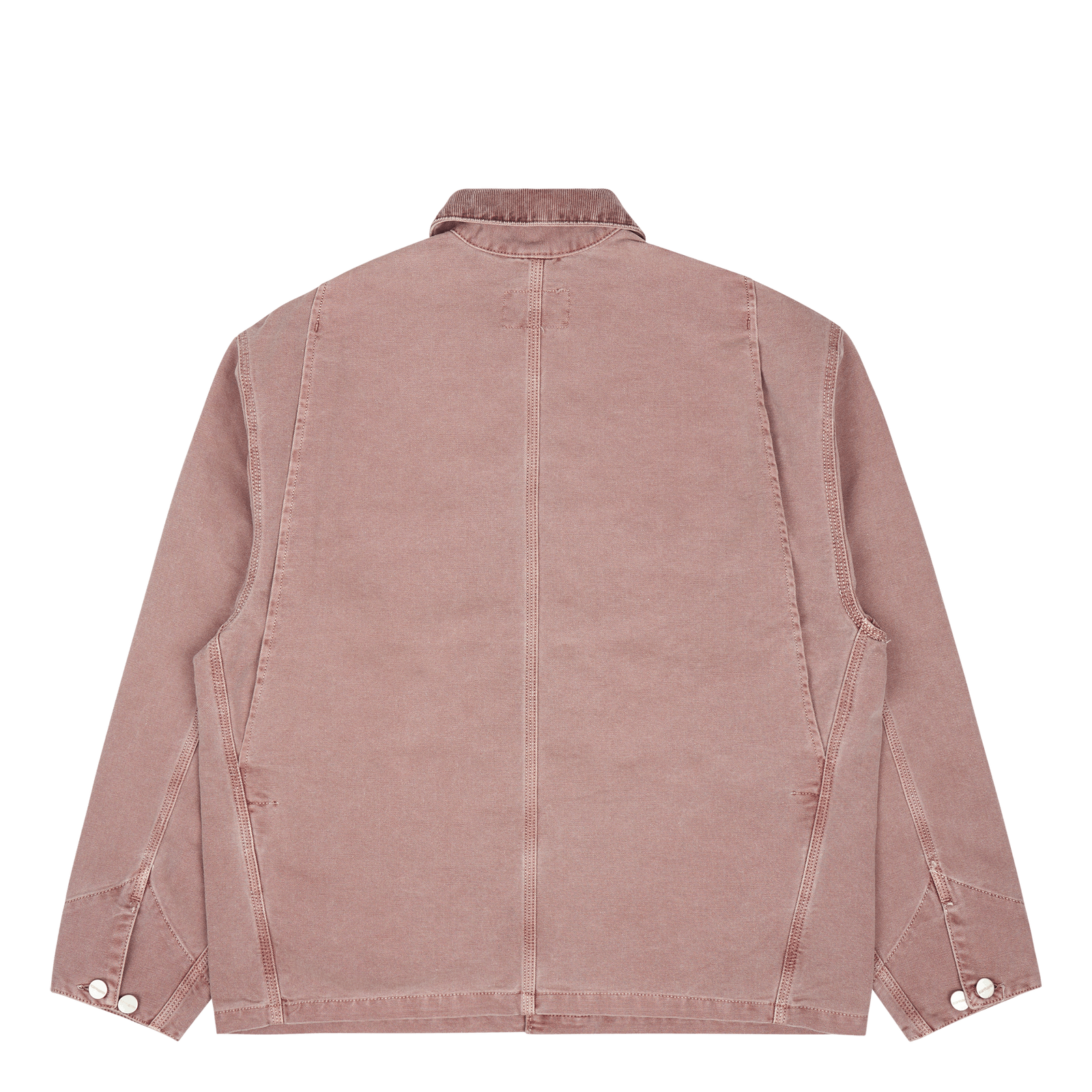 W' Og Michigan Coat Lupinus / Lupinus