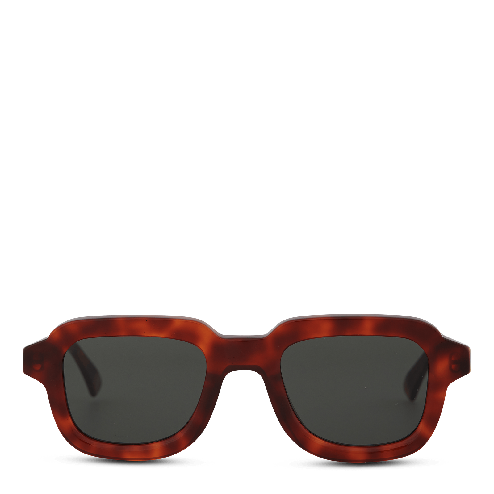 Lazarus Havana Diversa Havana Diversa