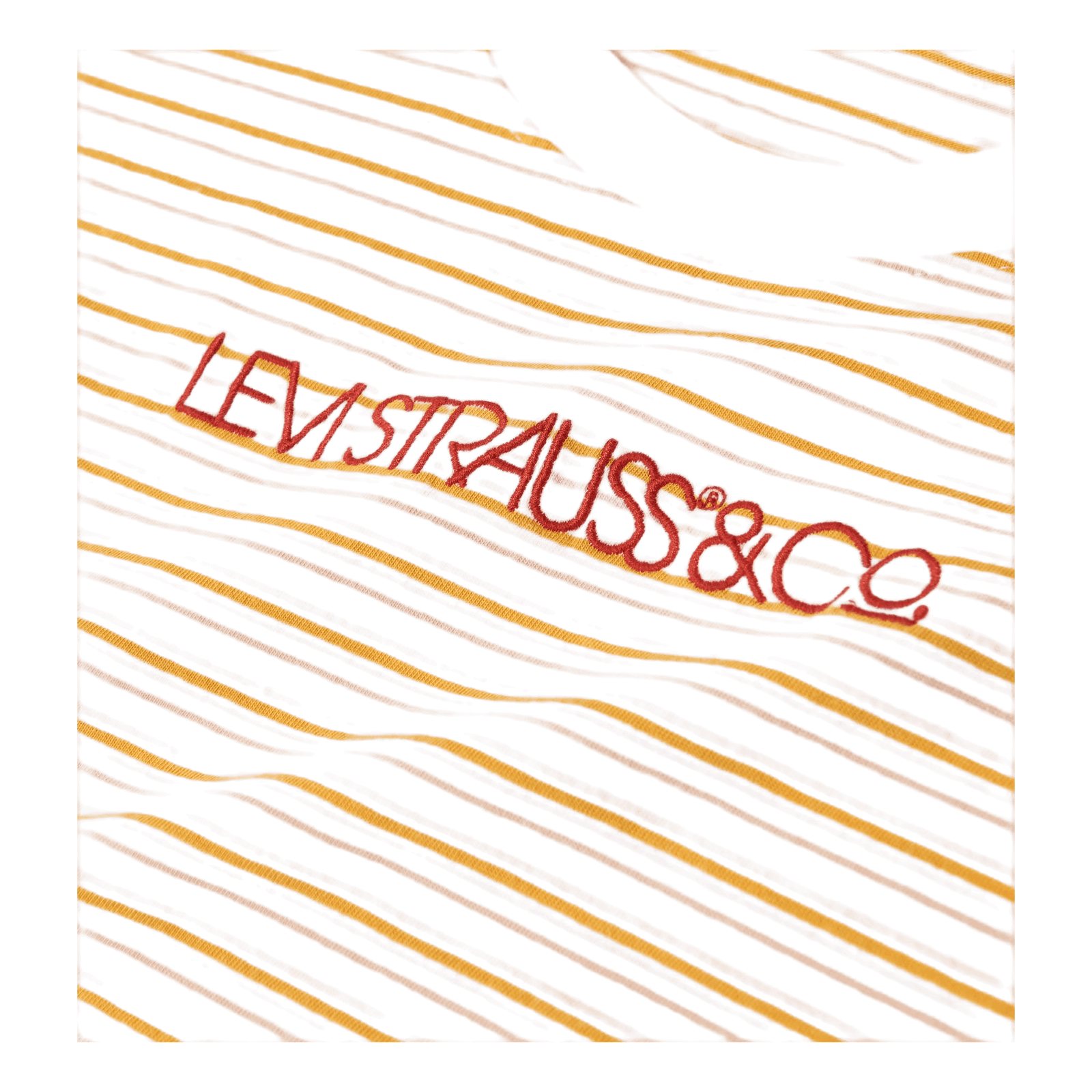 Graphic Varsity Tee Multi