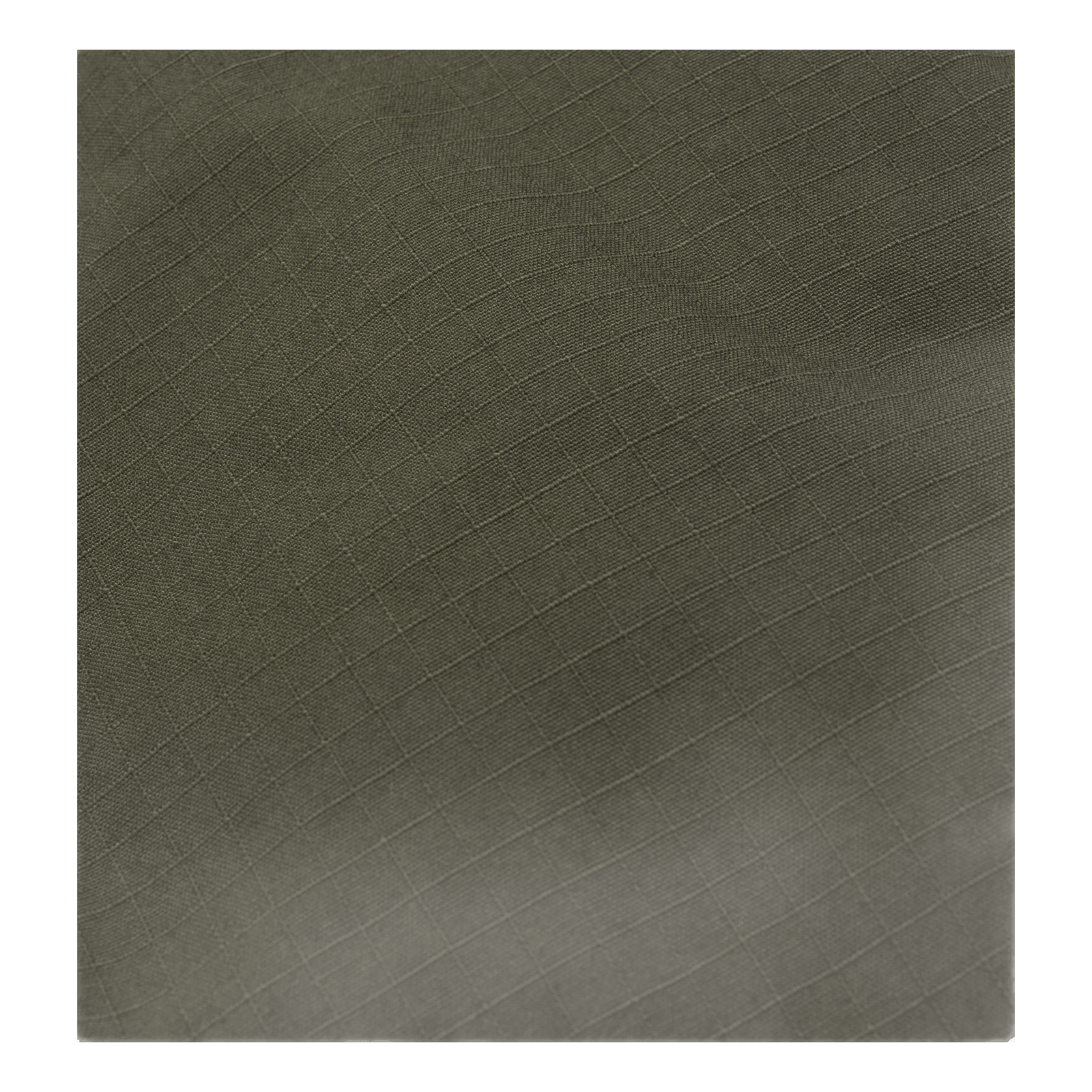 Regular Cargo Short Green