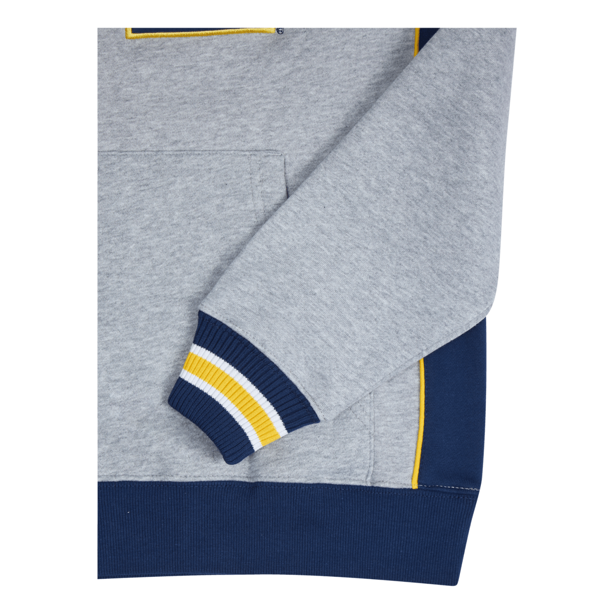 Michigan Pinnacle Heavyweight Fleece
