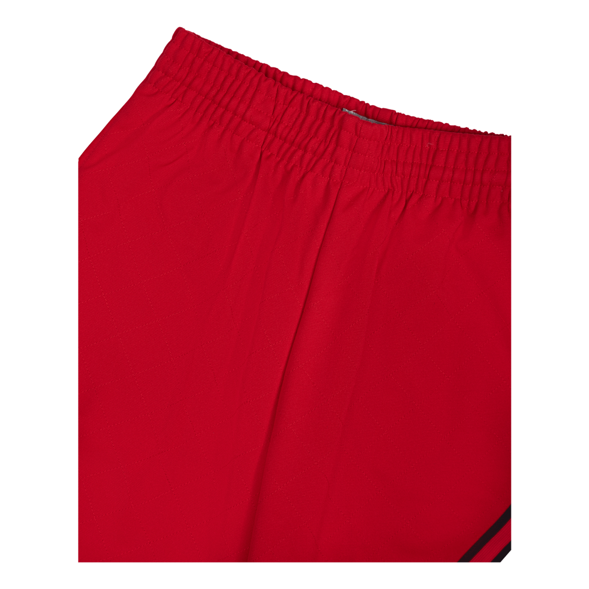 Bulls 75th Anniversary Swingman Shorts