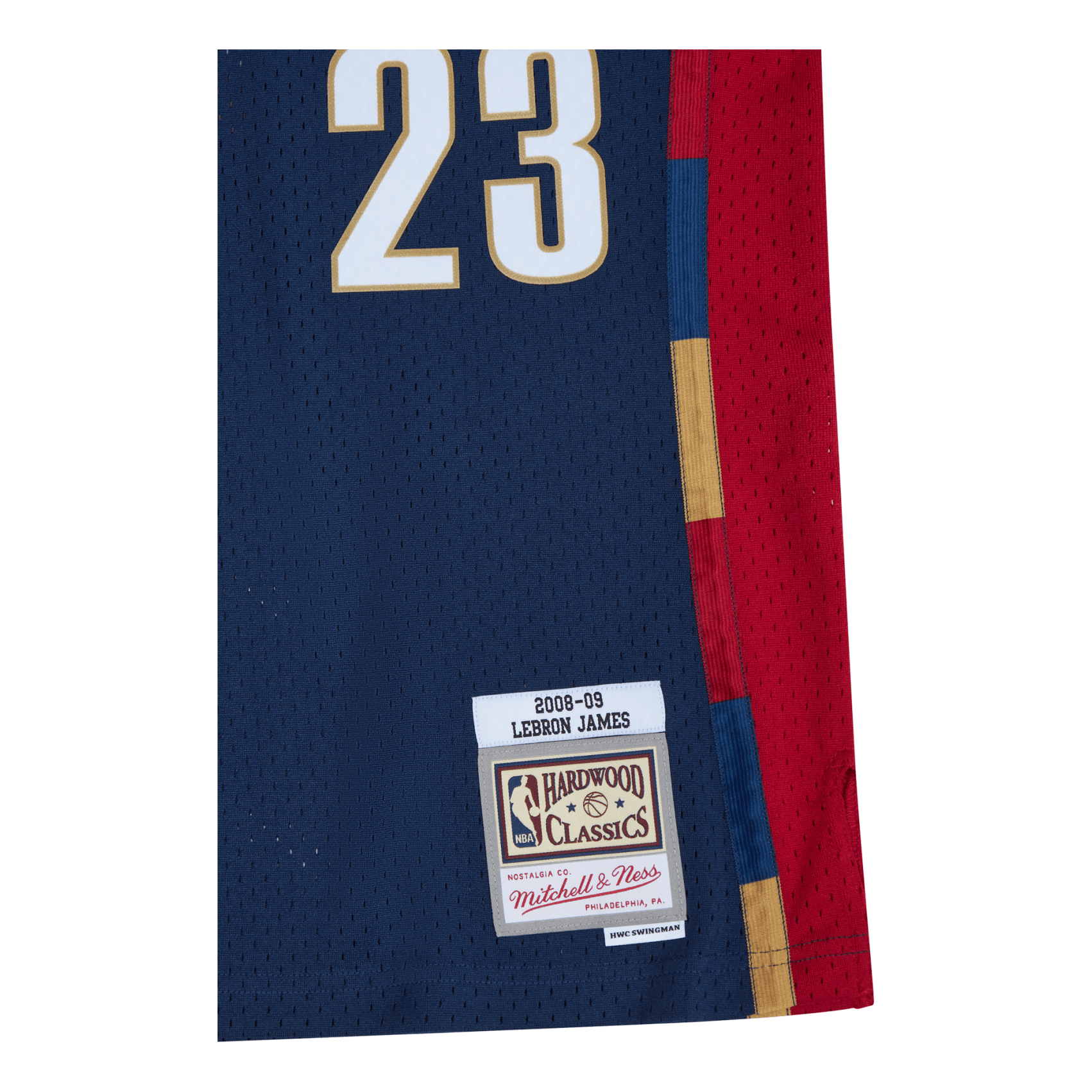 Cavs Swingman Jersey - LeBron James