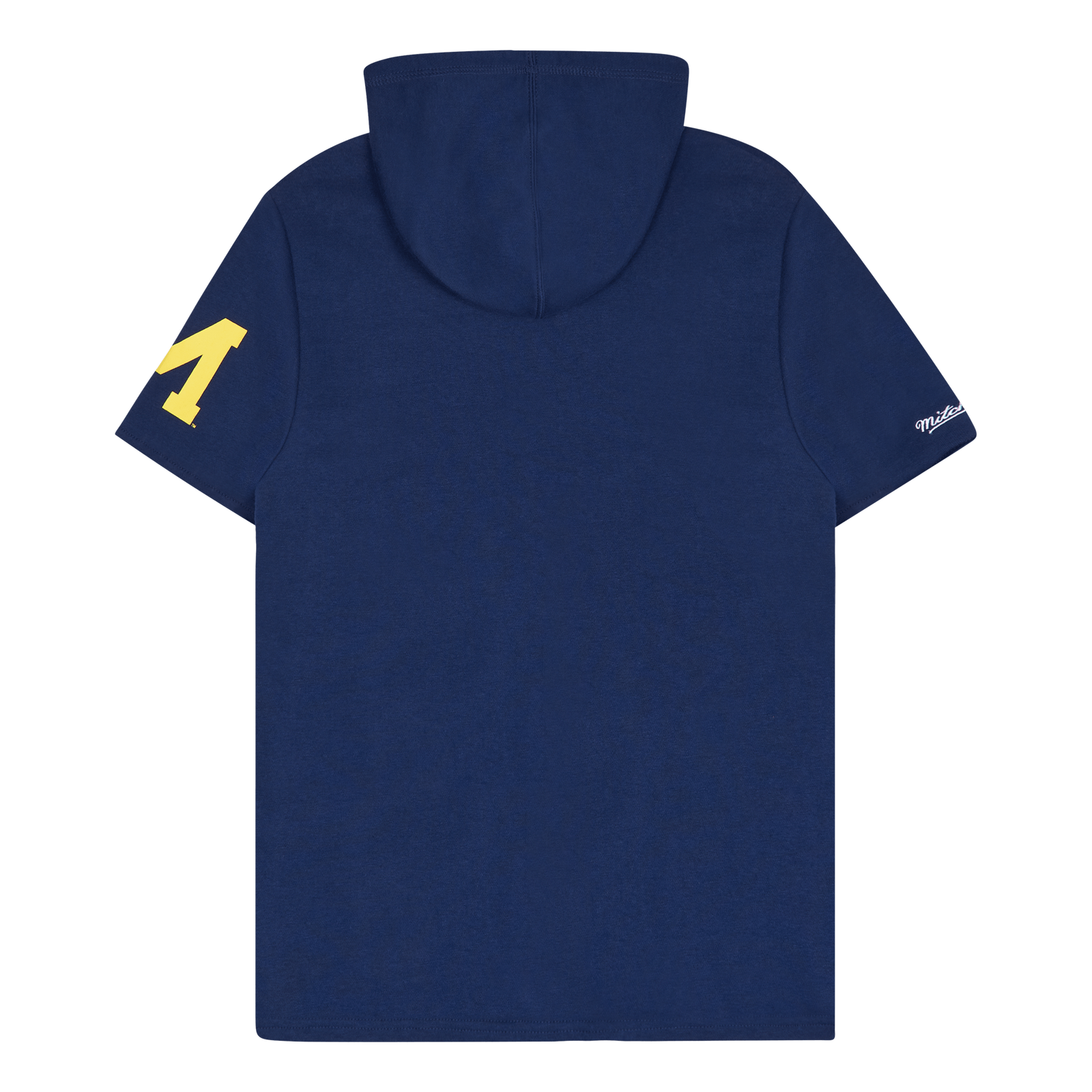 Michigan Gameday Ss Ft Hoodie