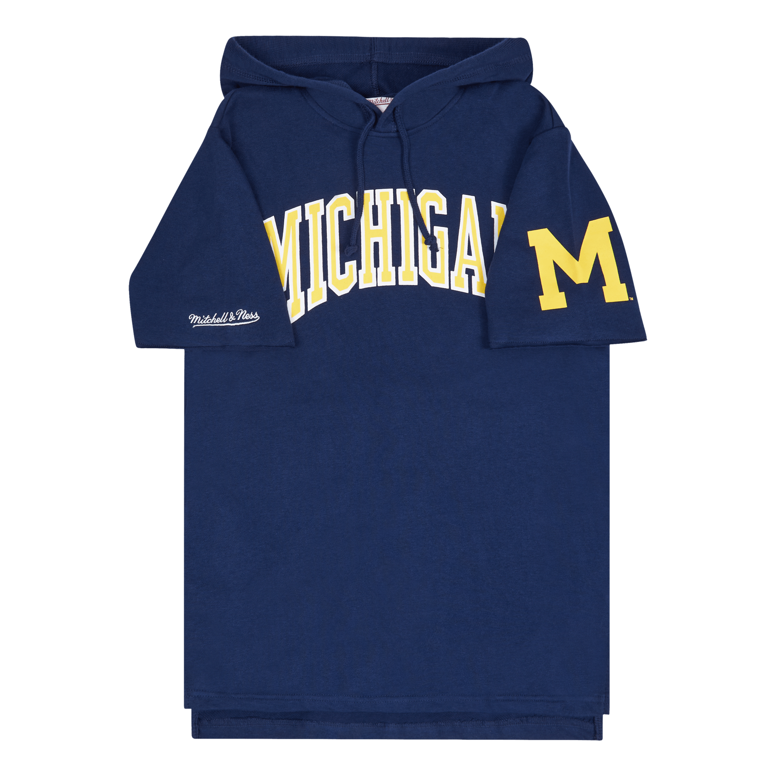 Michigan Gameday Ss Ft Hoodie