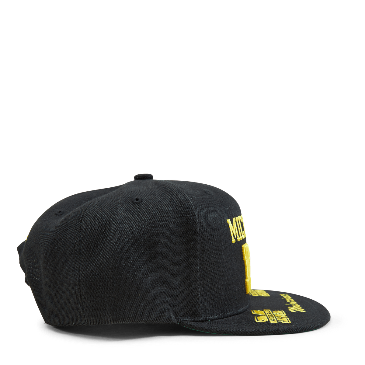 Michigan Front Loaded Snapback
