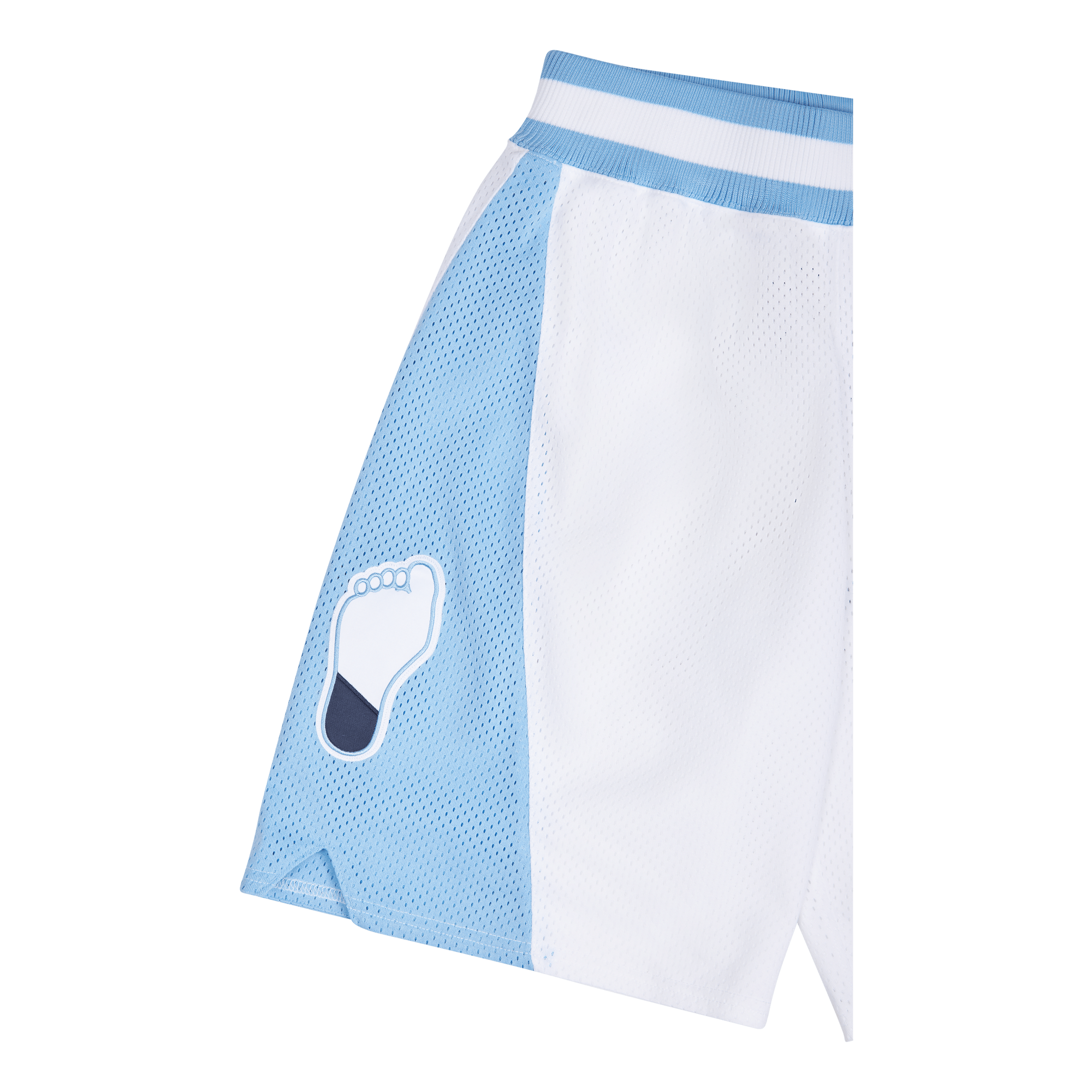 UNC Authenticentic Shorts