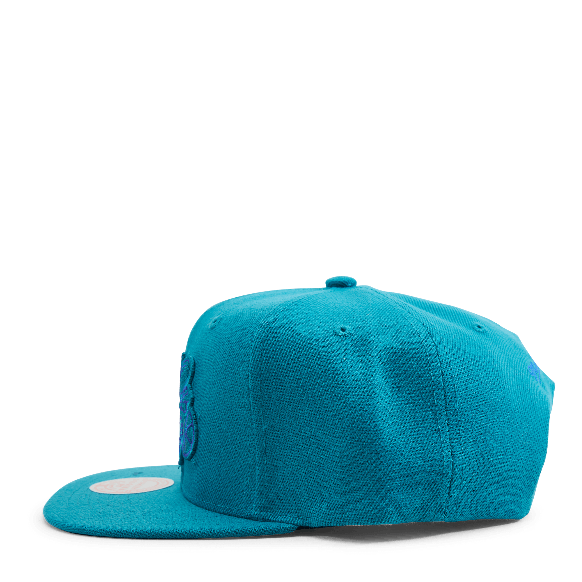 Hornets Two Tonal Snapback HWC