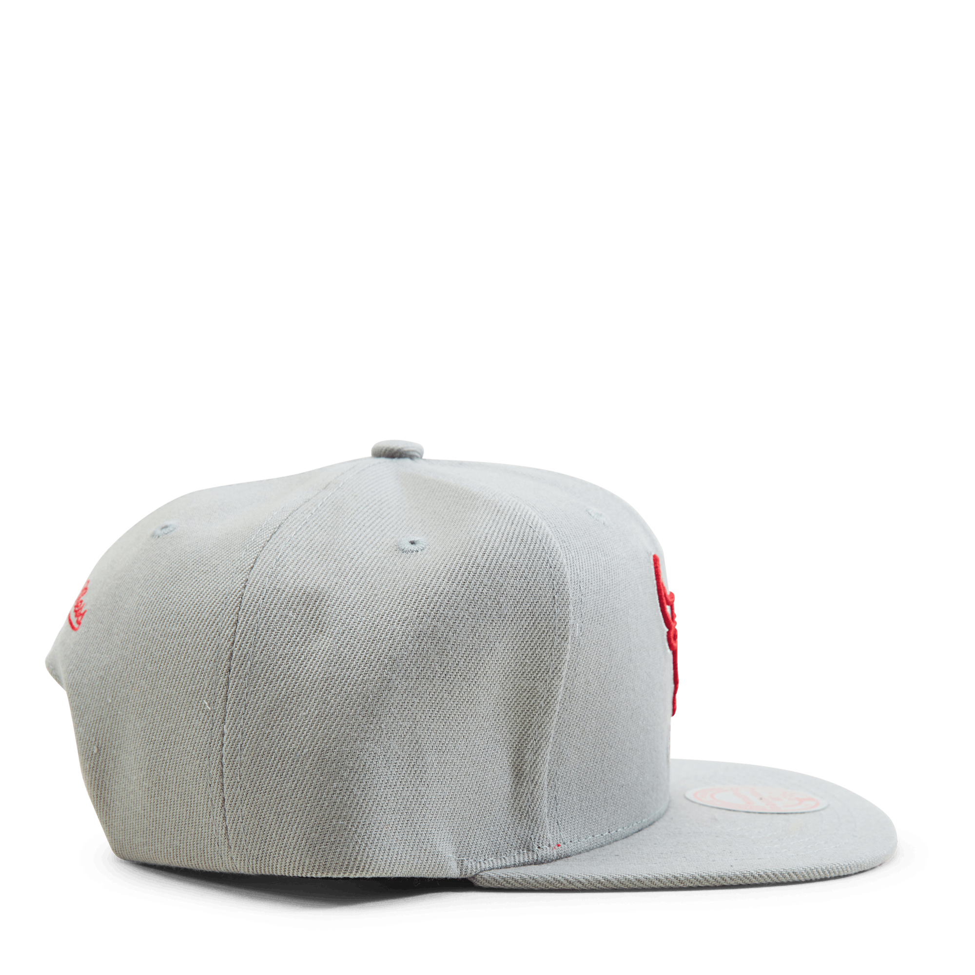 Bulls 2 Tonal Snapback HWC