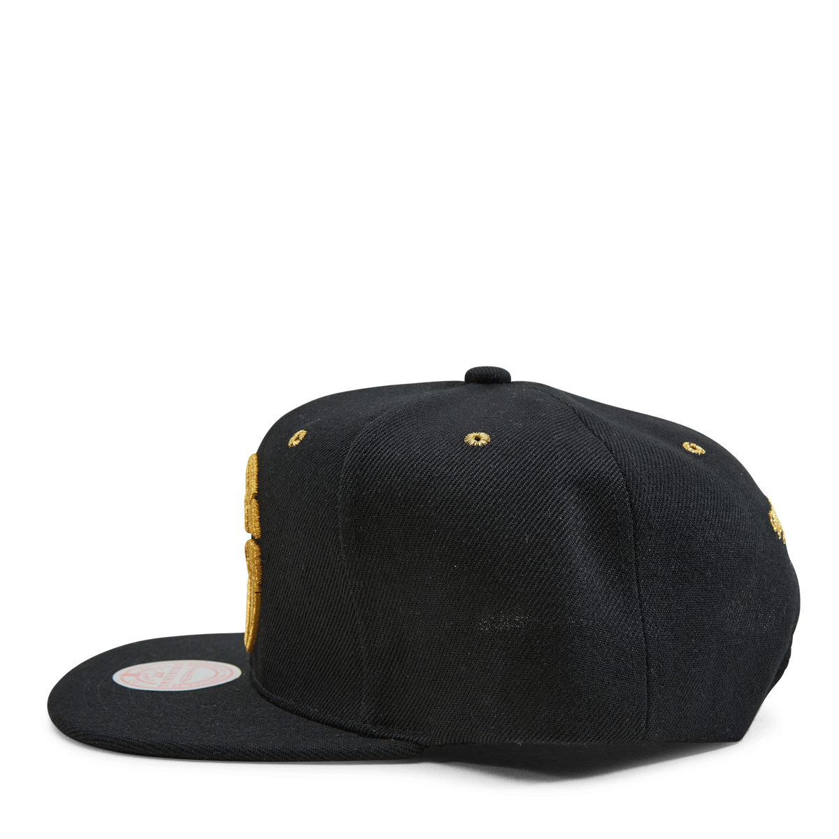 Raptors Fools Gold Snapback