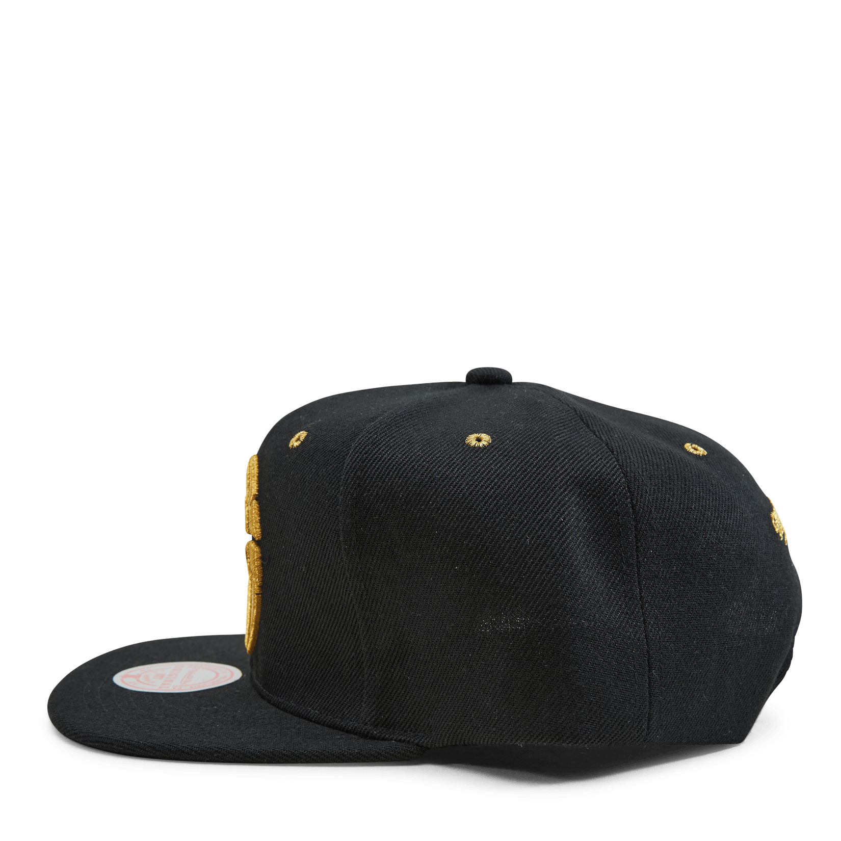 Raptors Fools Gold Snapback