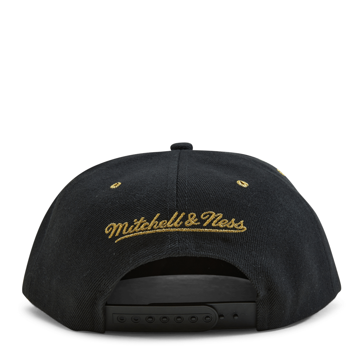 Raptors Fools Gold Snapback