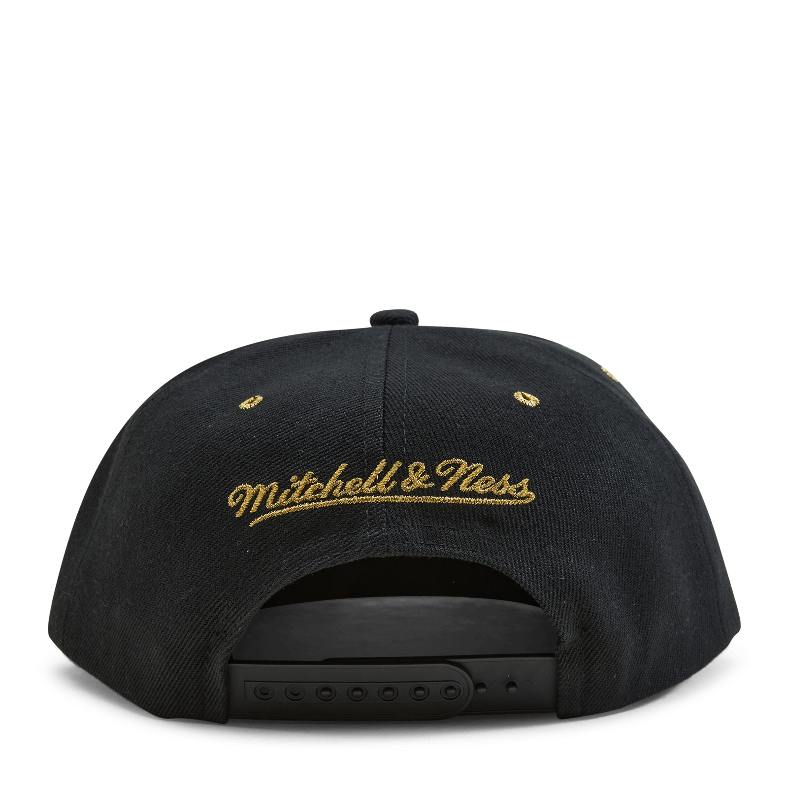 Raptors Fools Gold Snapback