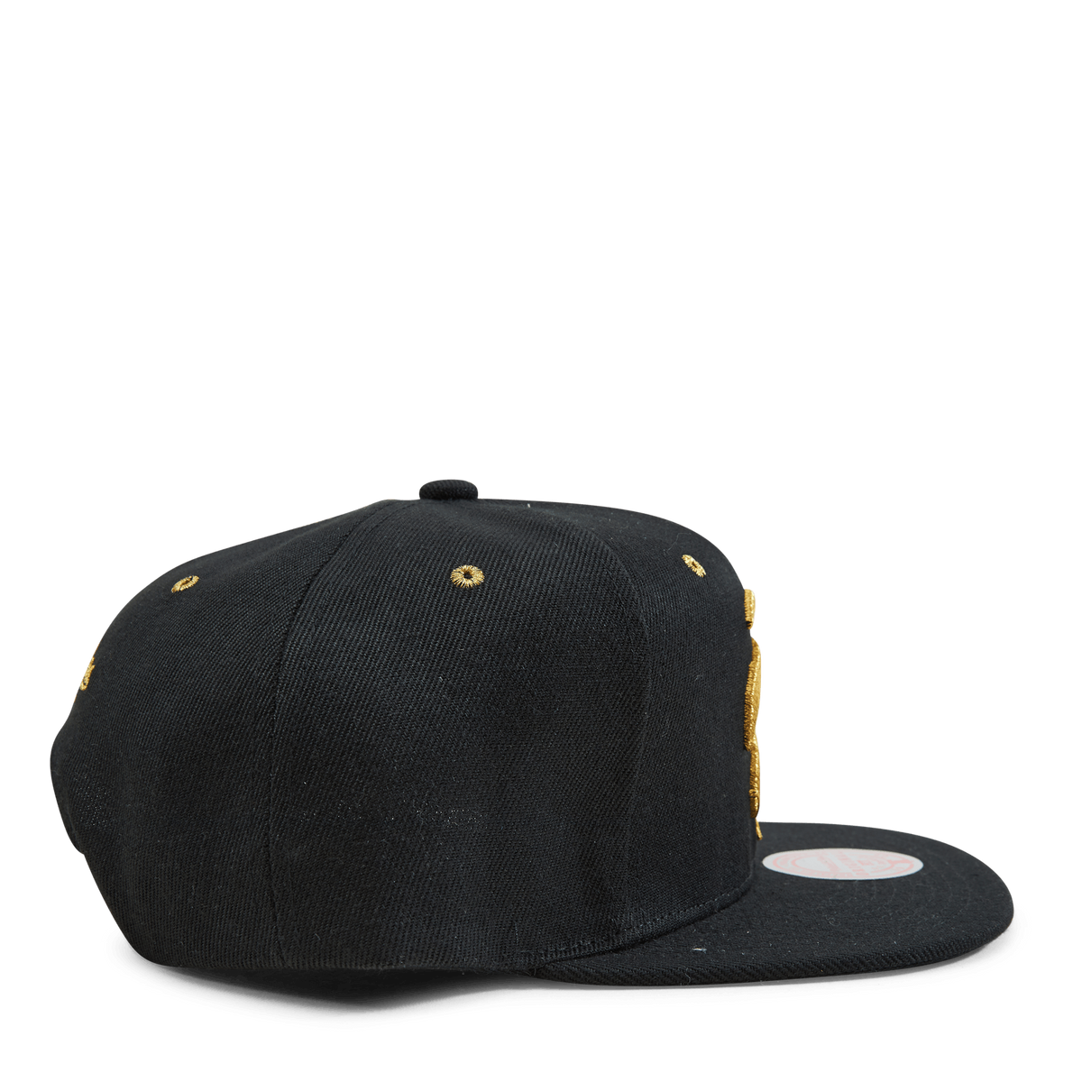 Raptors Fools Gold Snapback