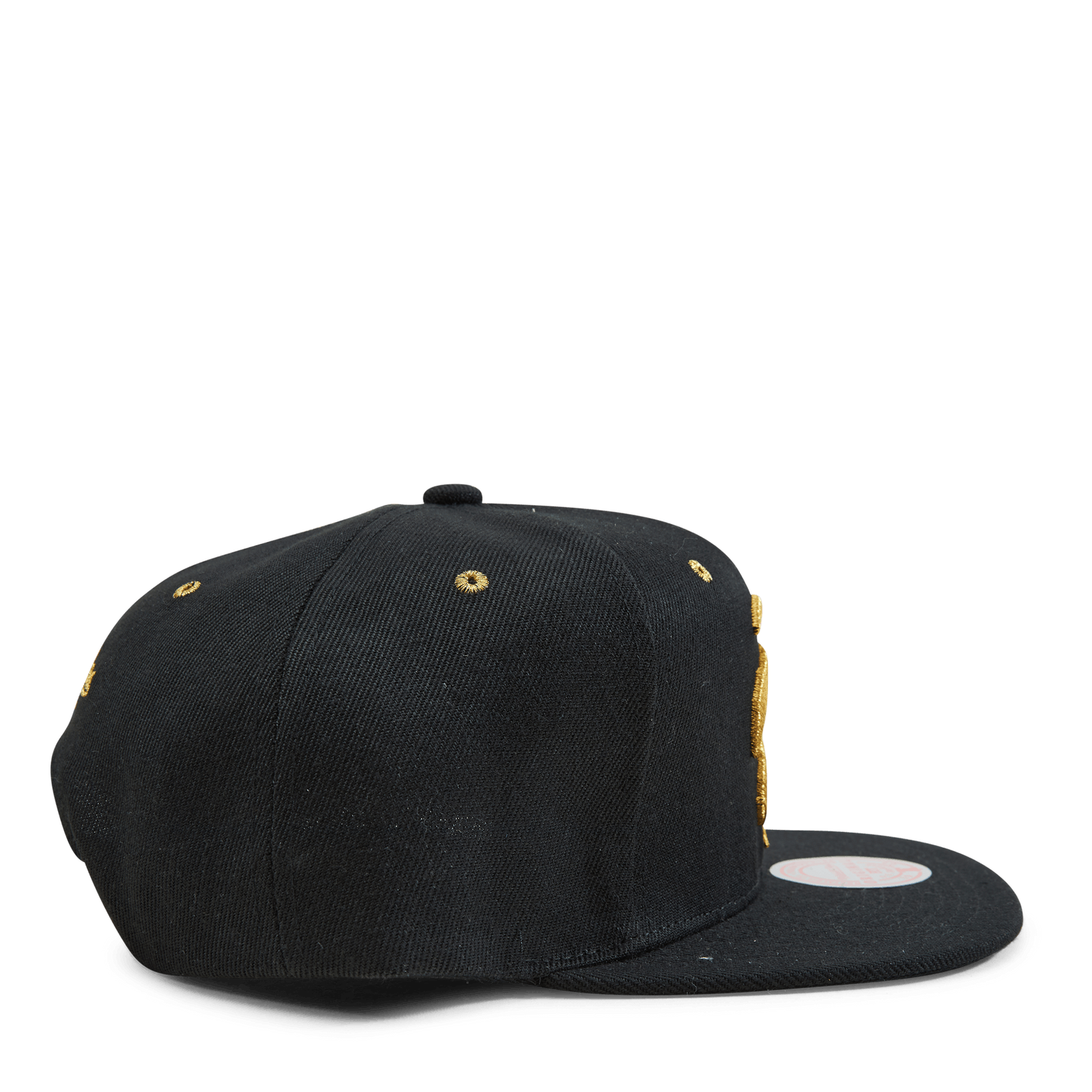 Raptors Fools Gold Snapback