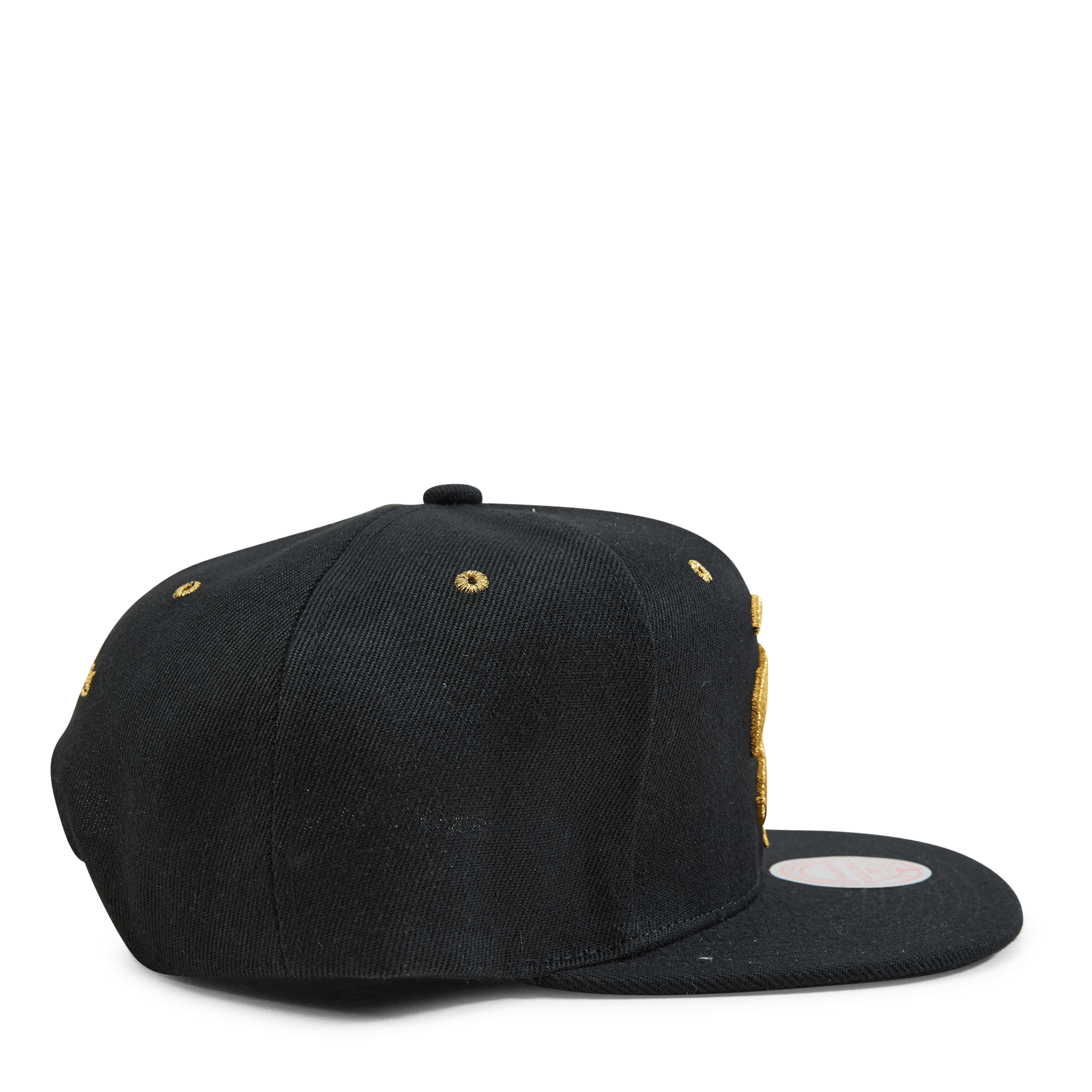 Raptors Fools Gold Snapback