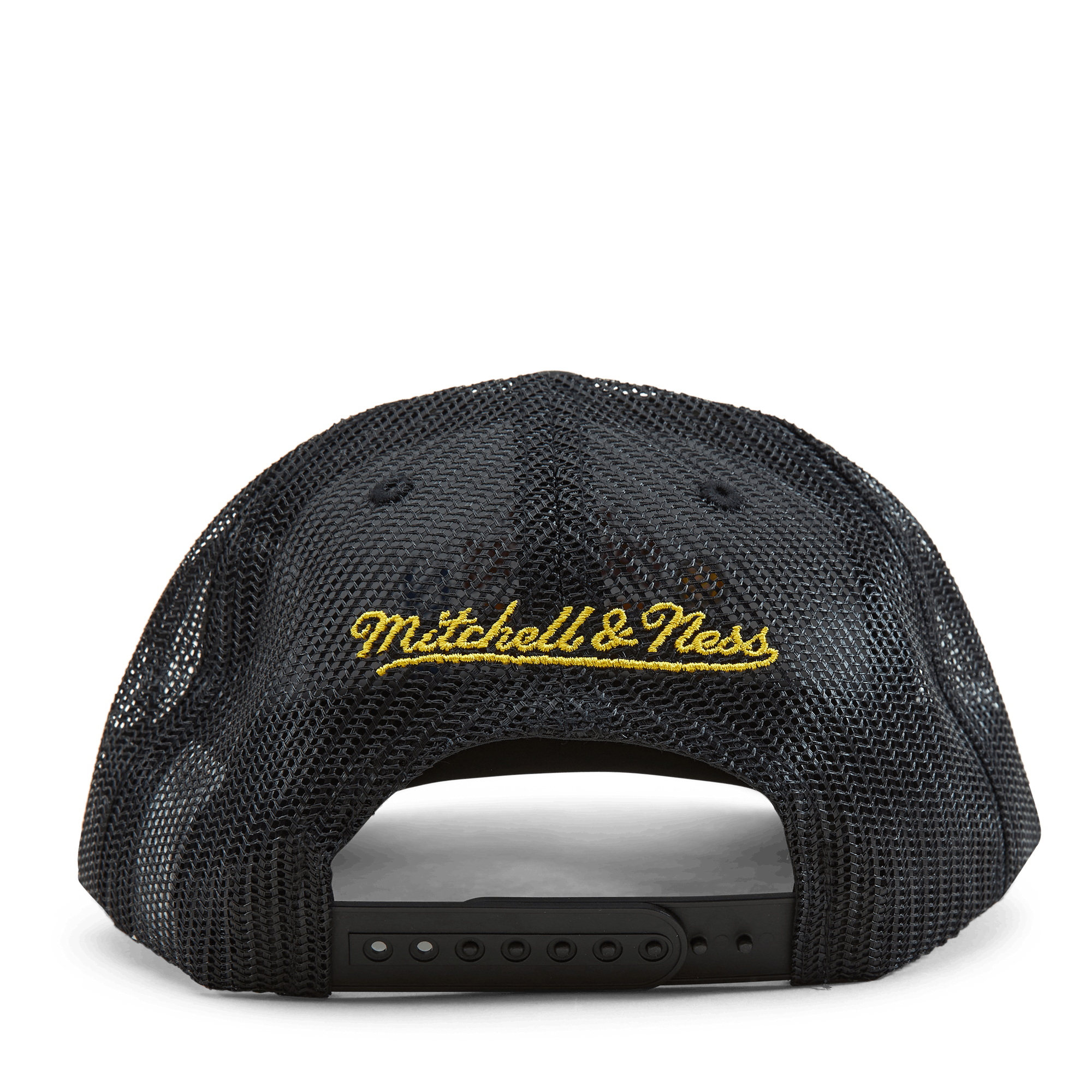 Cavaliers 2016 Championship Trucker