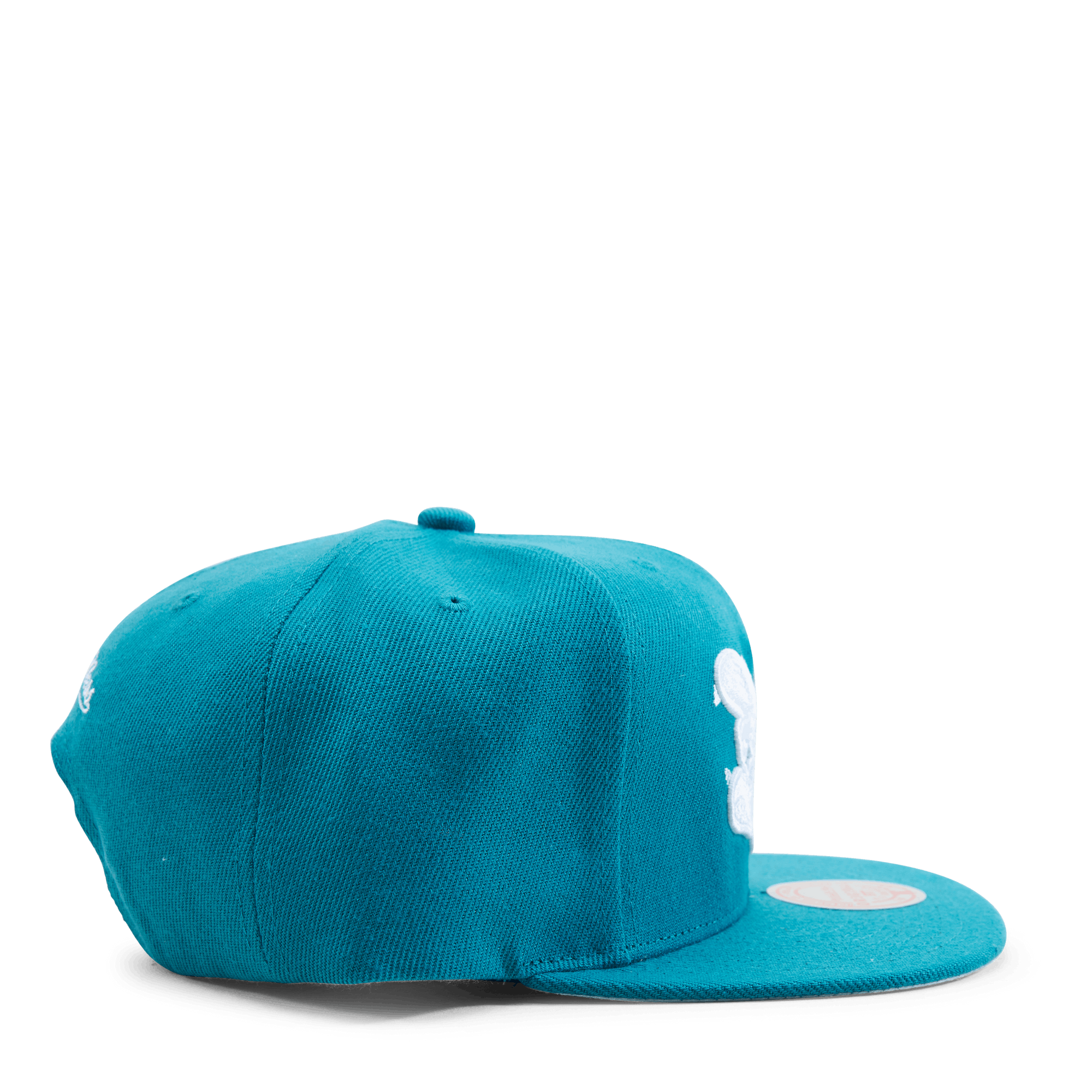 Hornets Color Popz Snapback