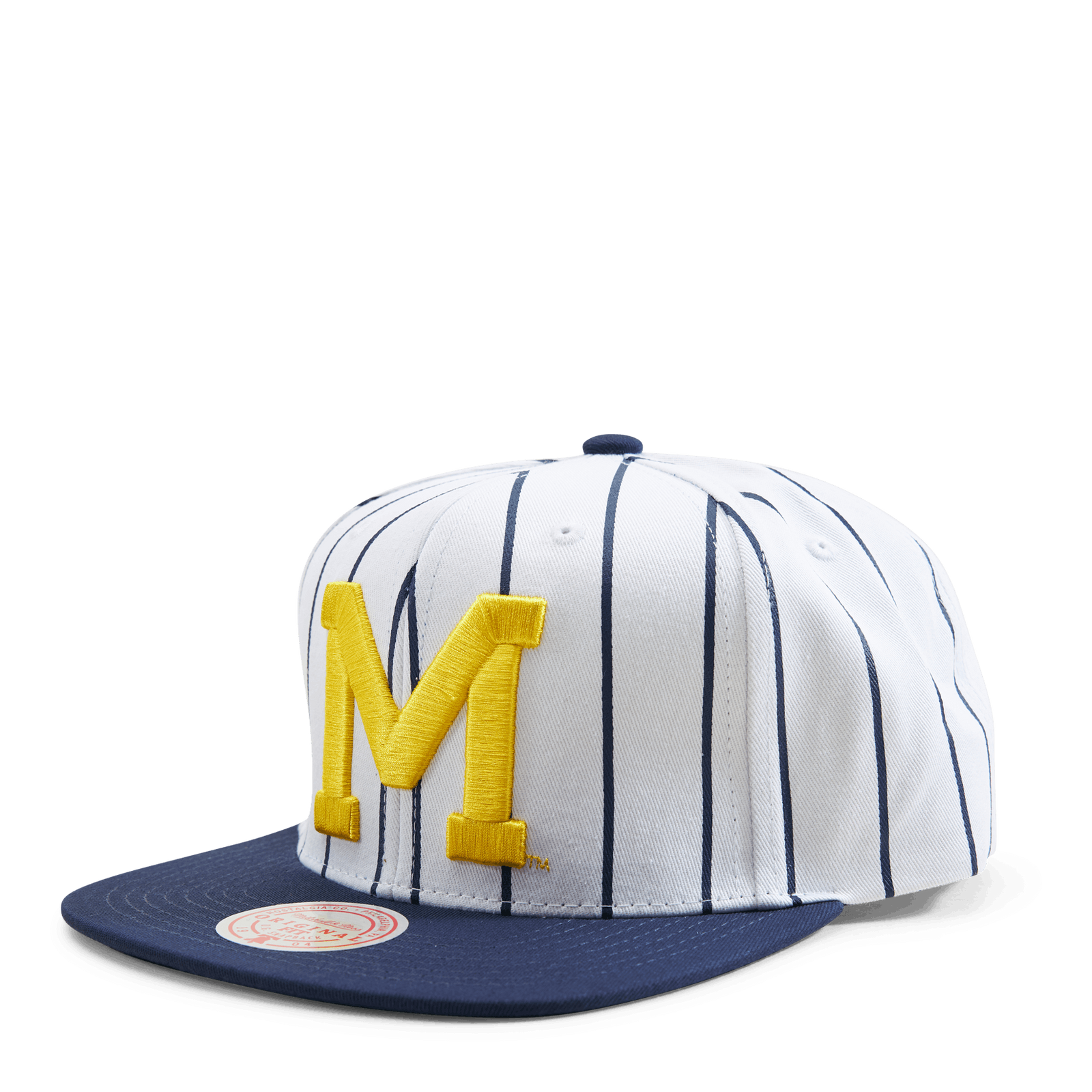 Michigan Newco Snapback