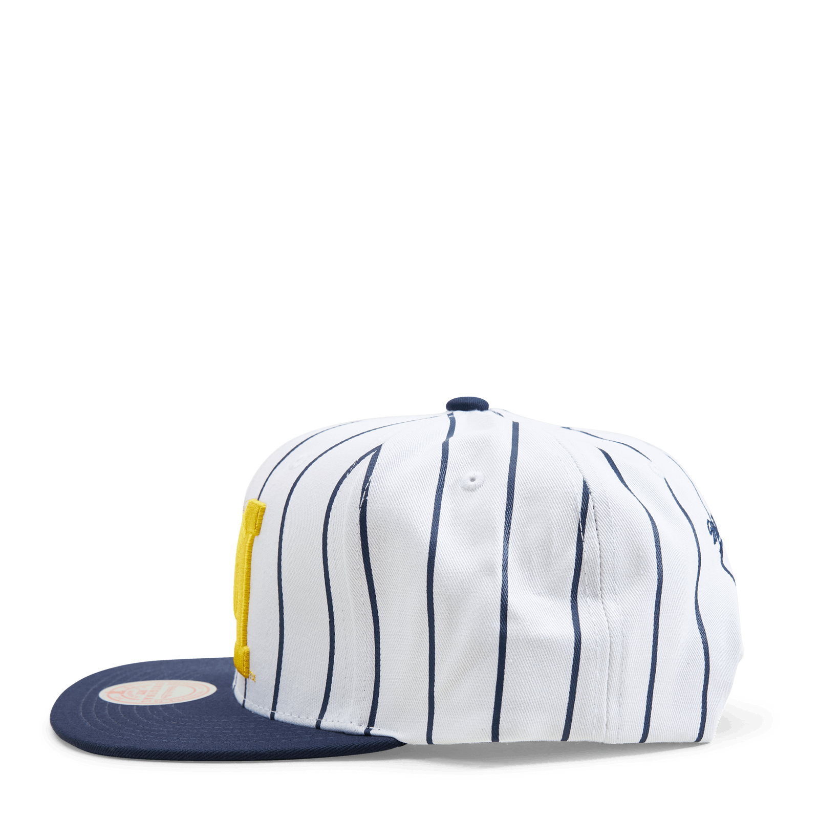 Michigan Newco Snapback