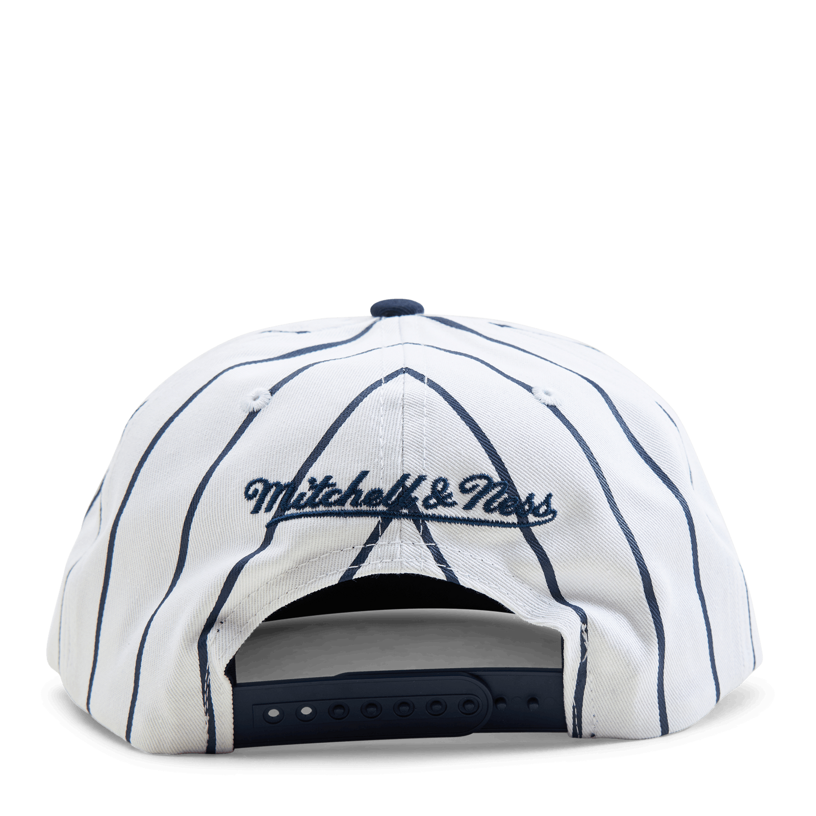 Michigan Newco Snapback