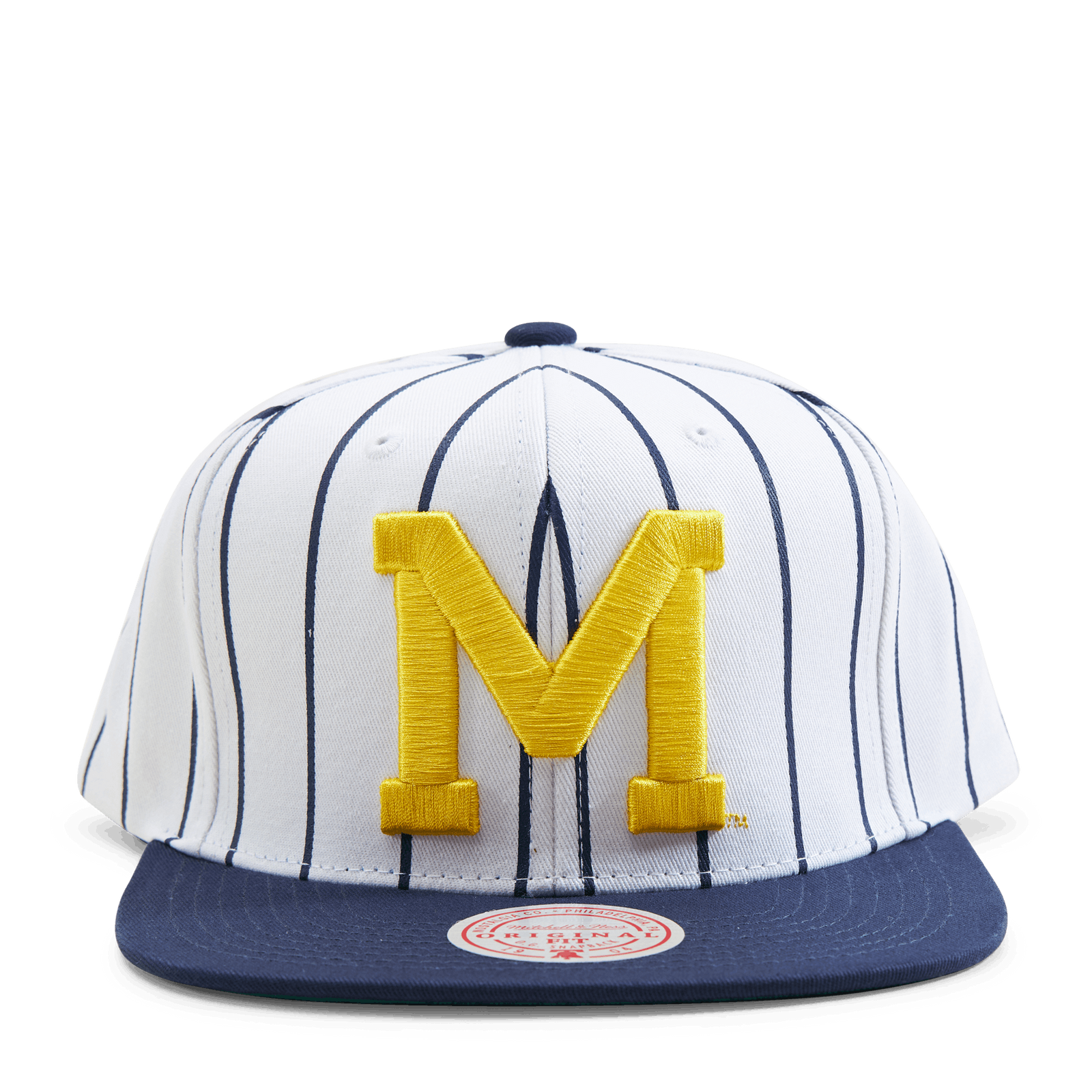 Michigan Newco Snapback