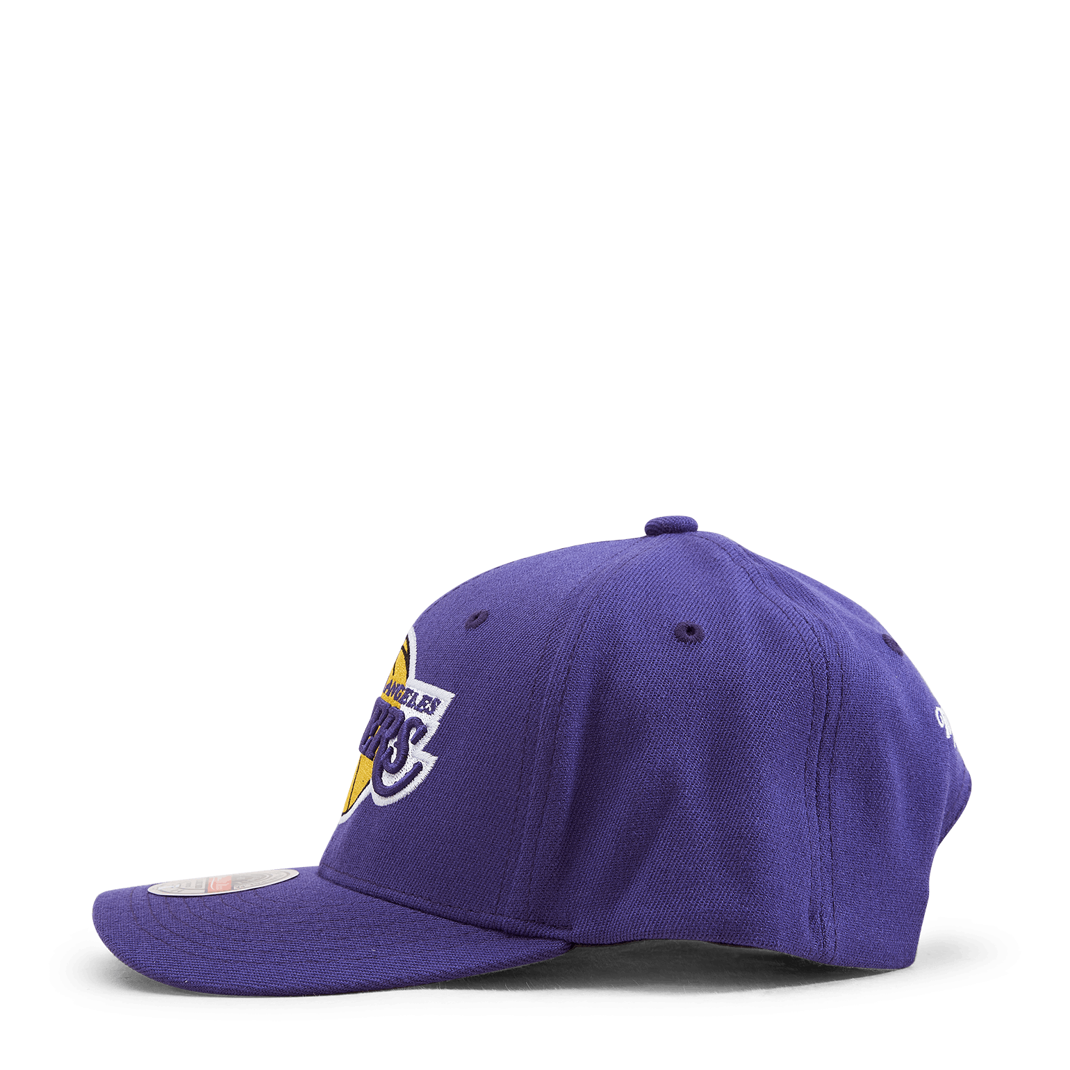 Lakers Team Ground 2.0 Stretch Snapback