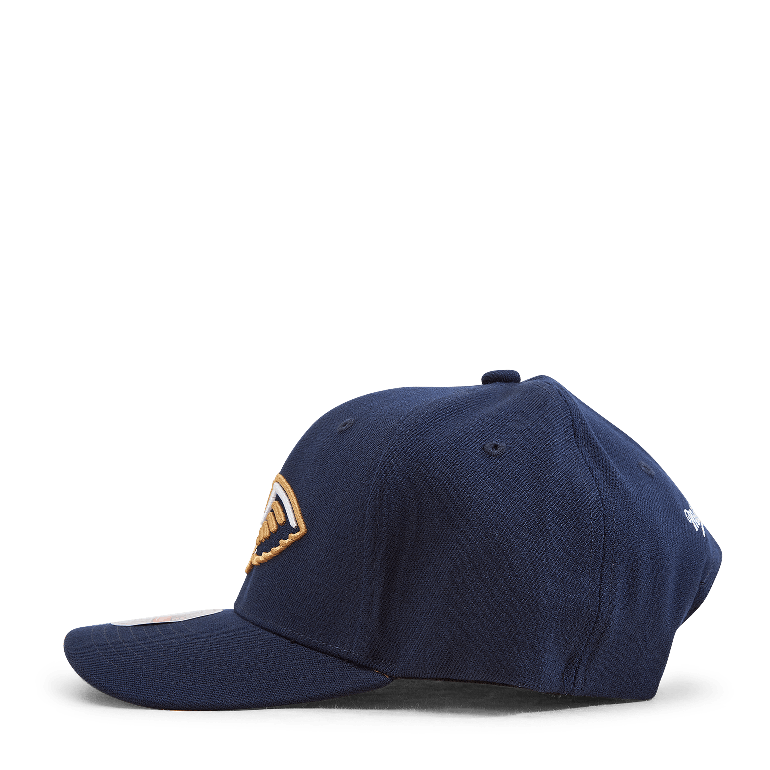 Pelicans Team Ground 2.0 Stretch Snapback