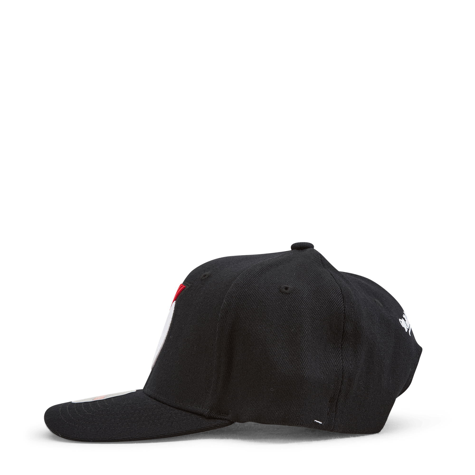 Team Ground 2.0 Stretch Snapback