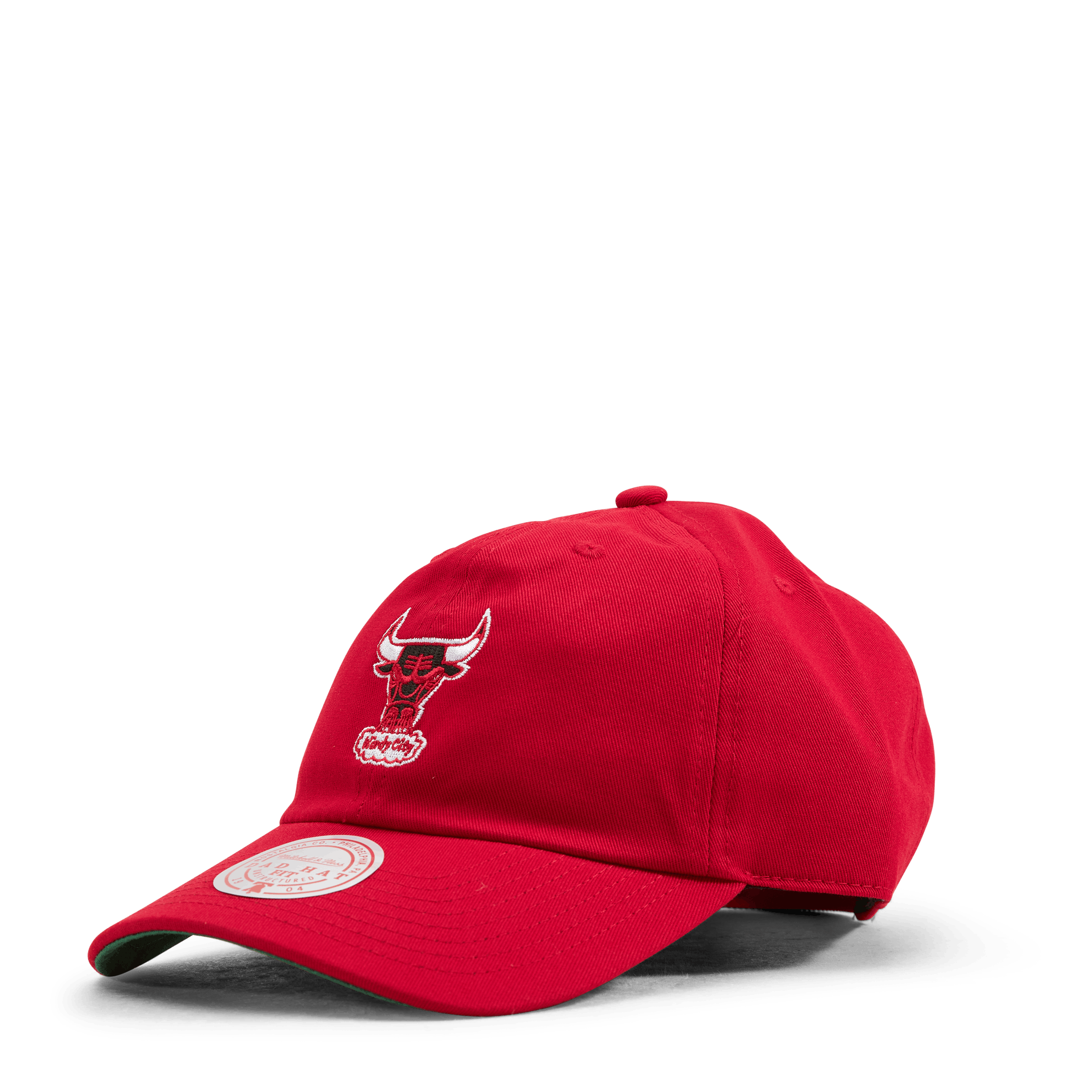 Bulls Team Ground 2.0 Dad Strapback