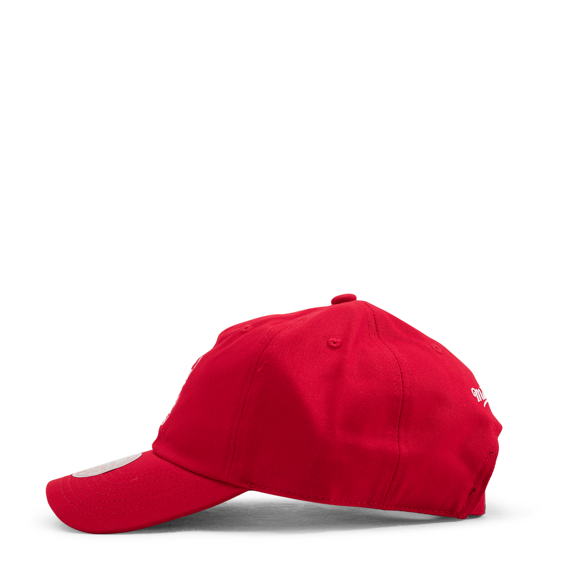 Bulls Team Ground 2.0 Dad Strapback