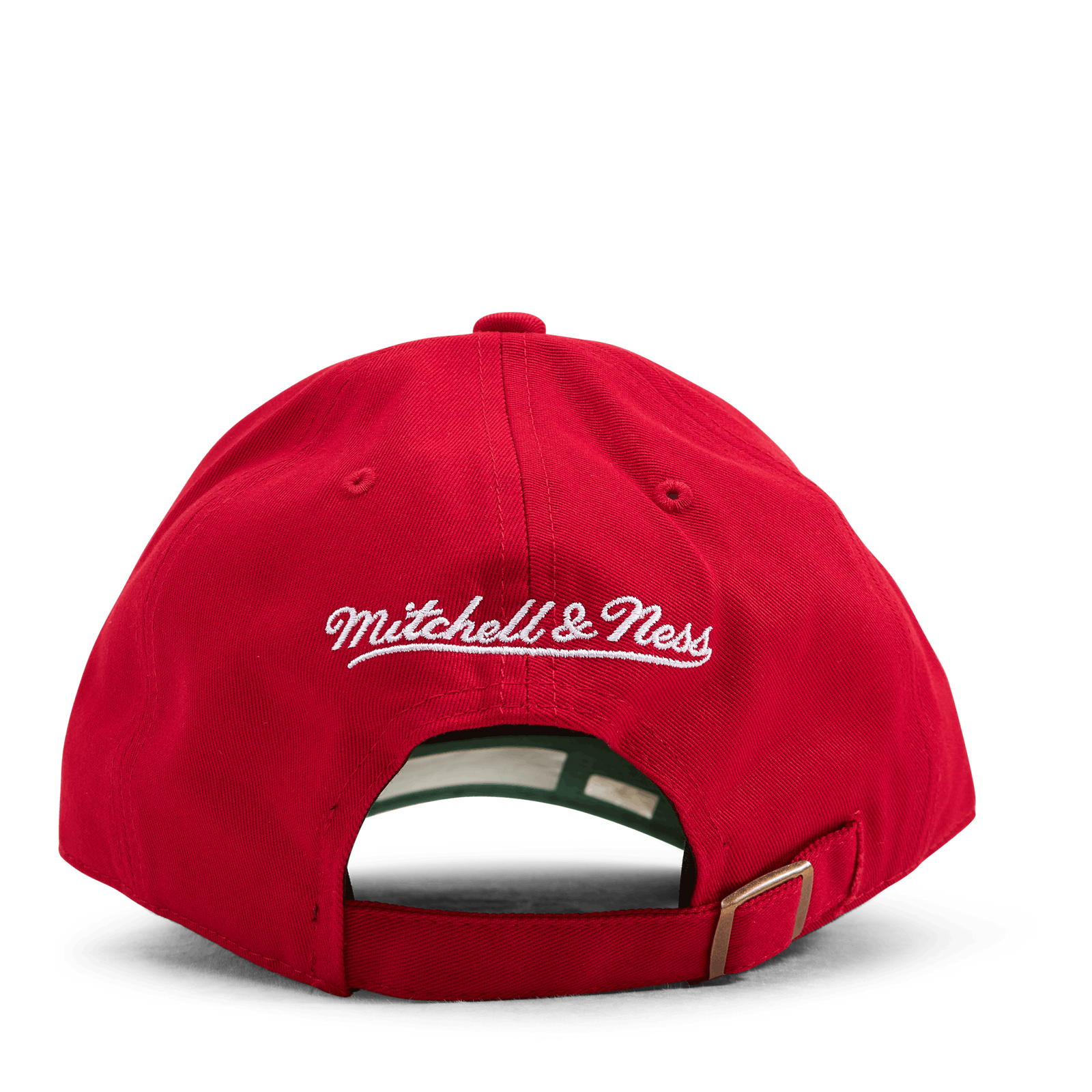 Bulls Team Ground 2.0 Dad Strapback