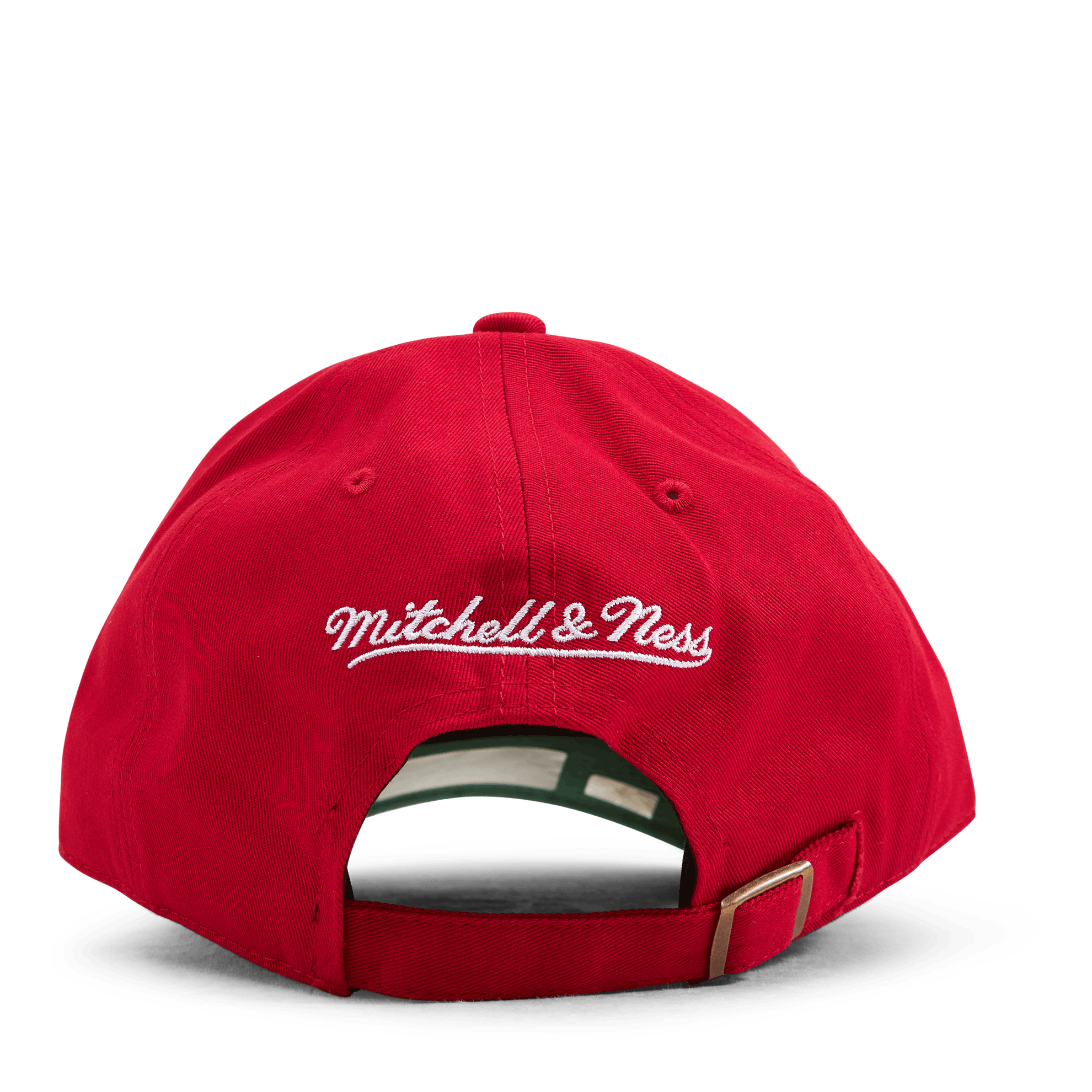 Bulls Team Ground 2.0 Dad Strapback