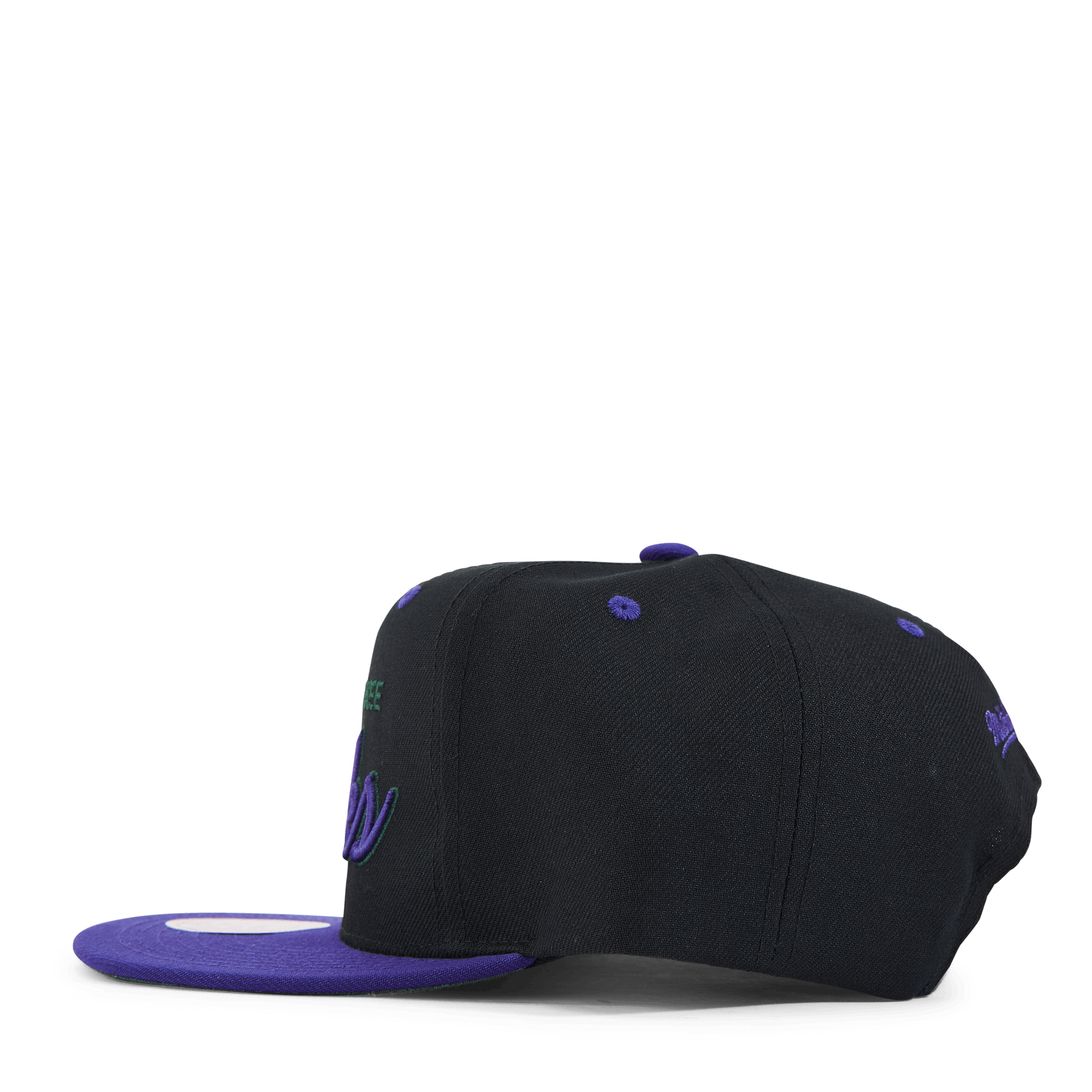 Bucks Script Pop Snapback