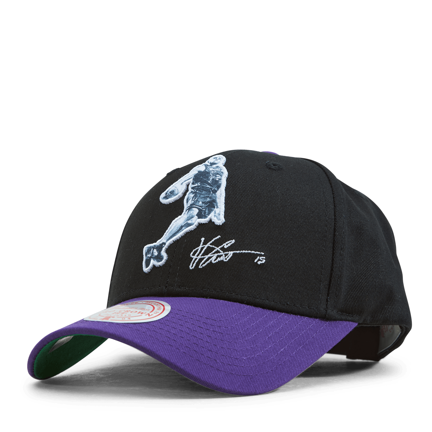 Raptors Highlight Real Carter Snapback