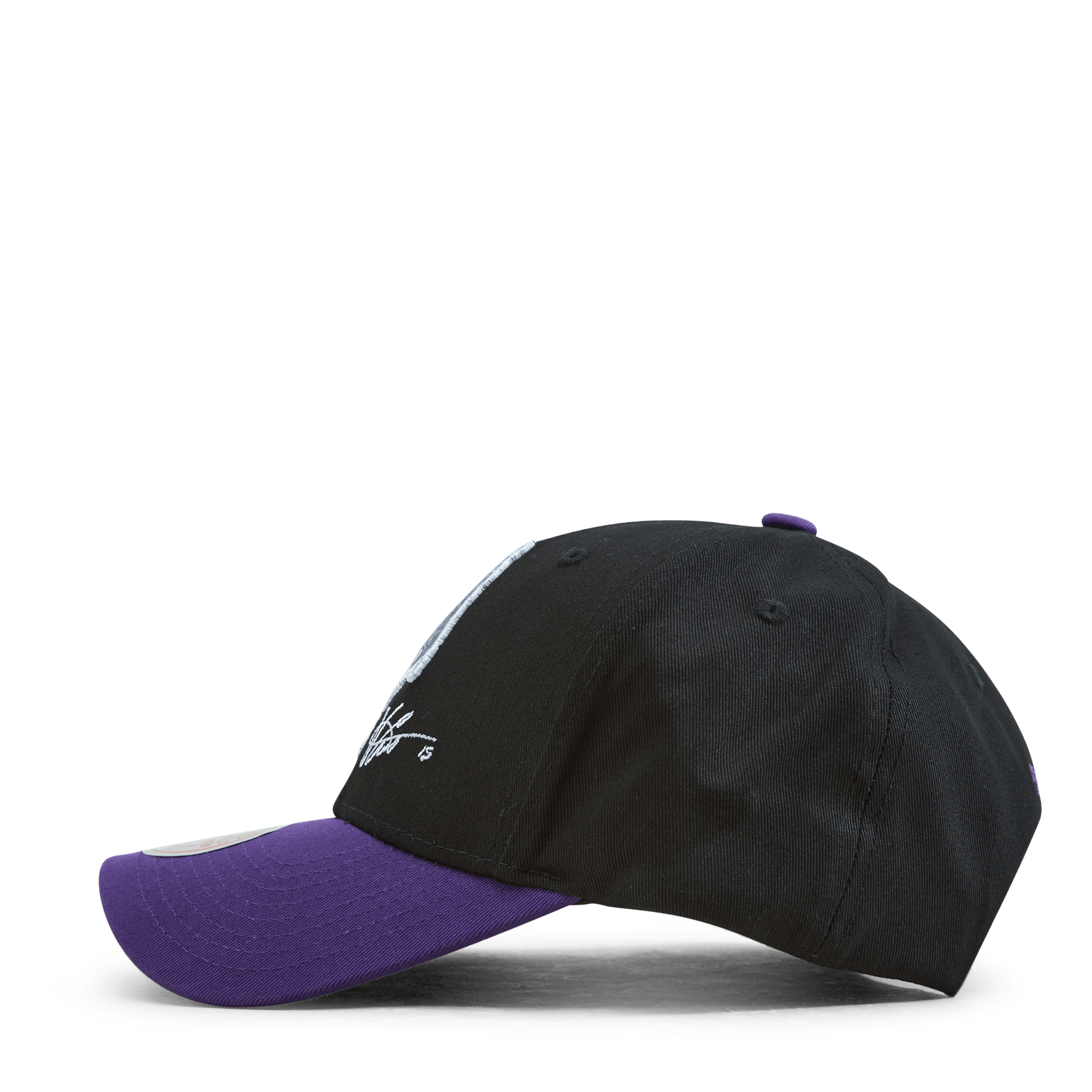 Raptors Highlight Real Carter Snapback