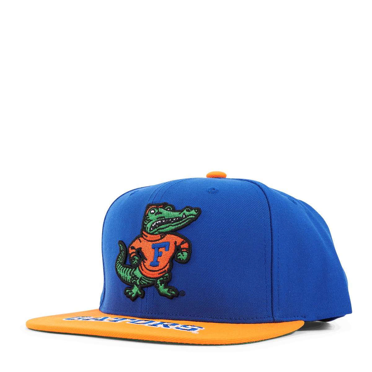 Gators Logo Bill Snapback