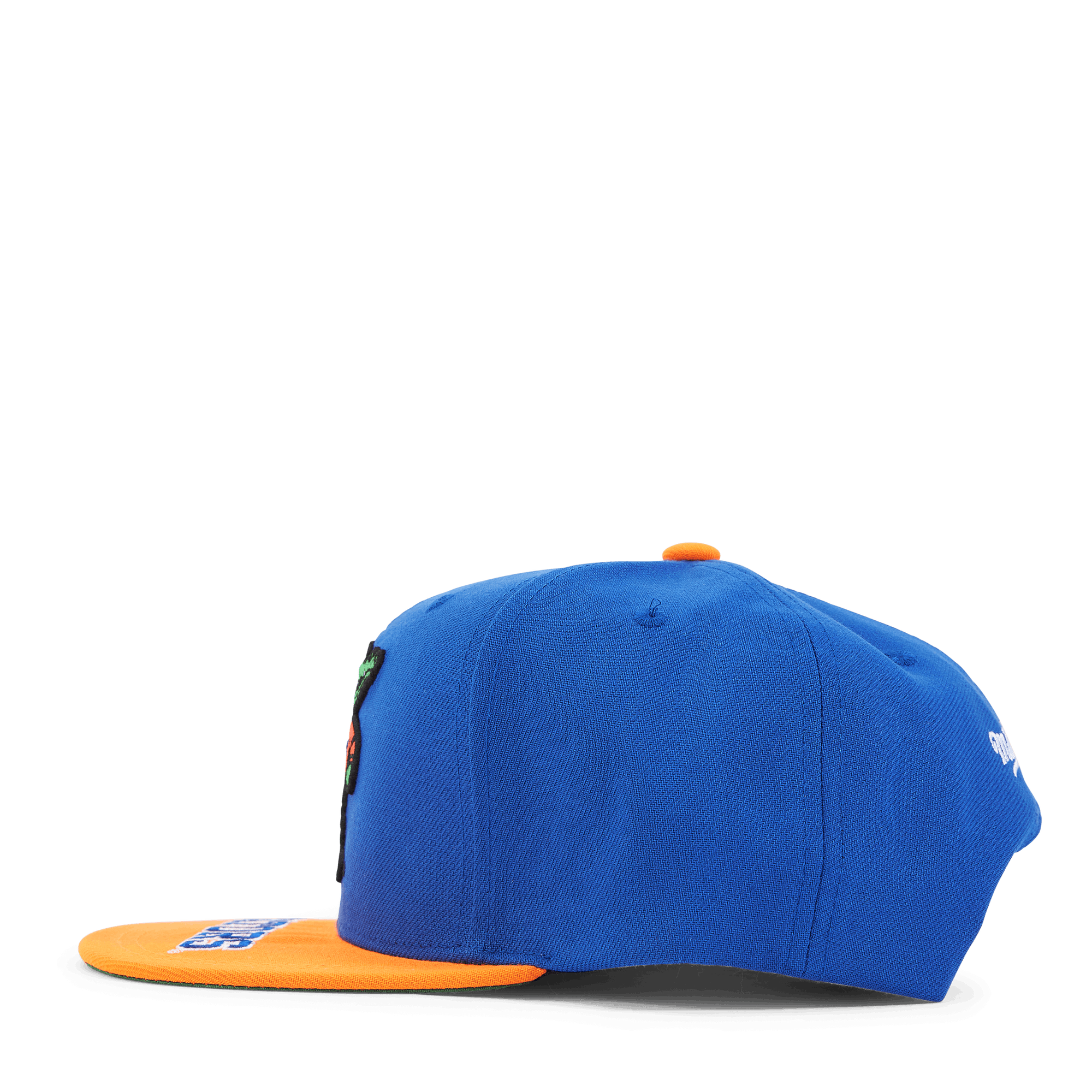 Gators Logo Bill Snapback