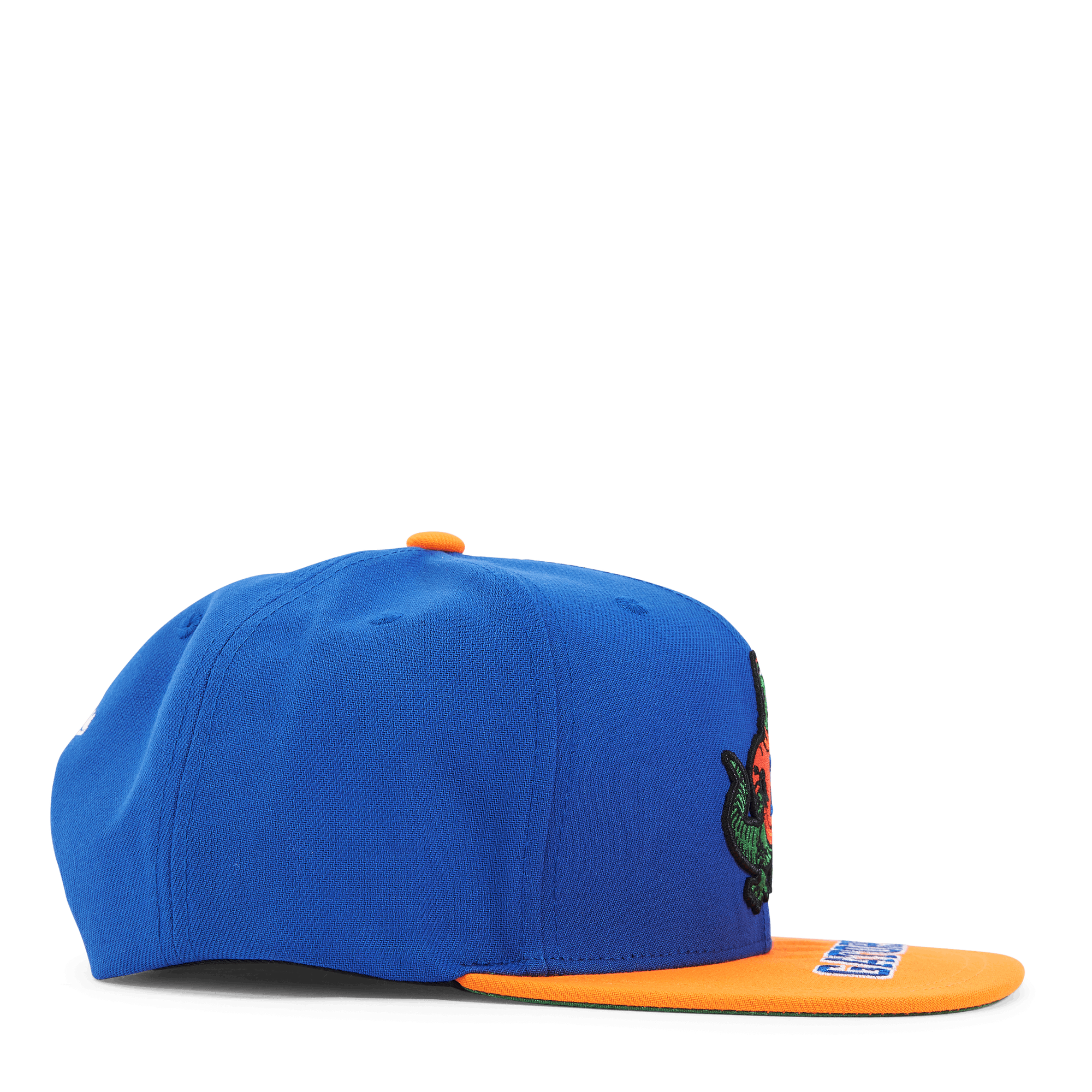 Gators Logo Bill Snapback