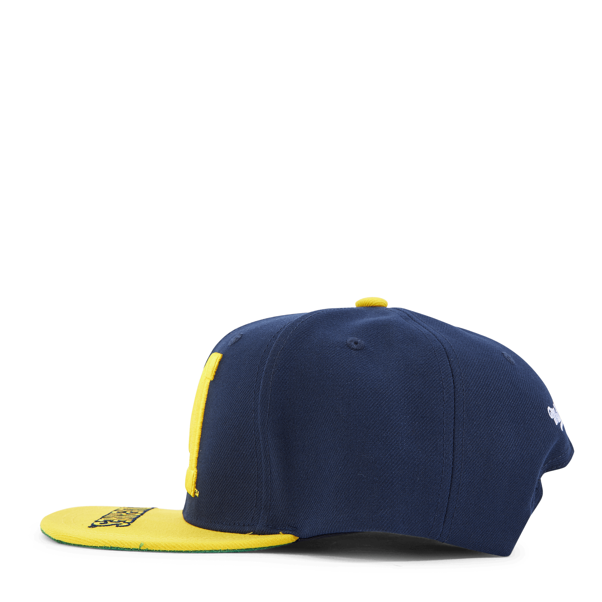 Michigan Logo Bill Snapback