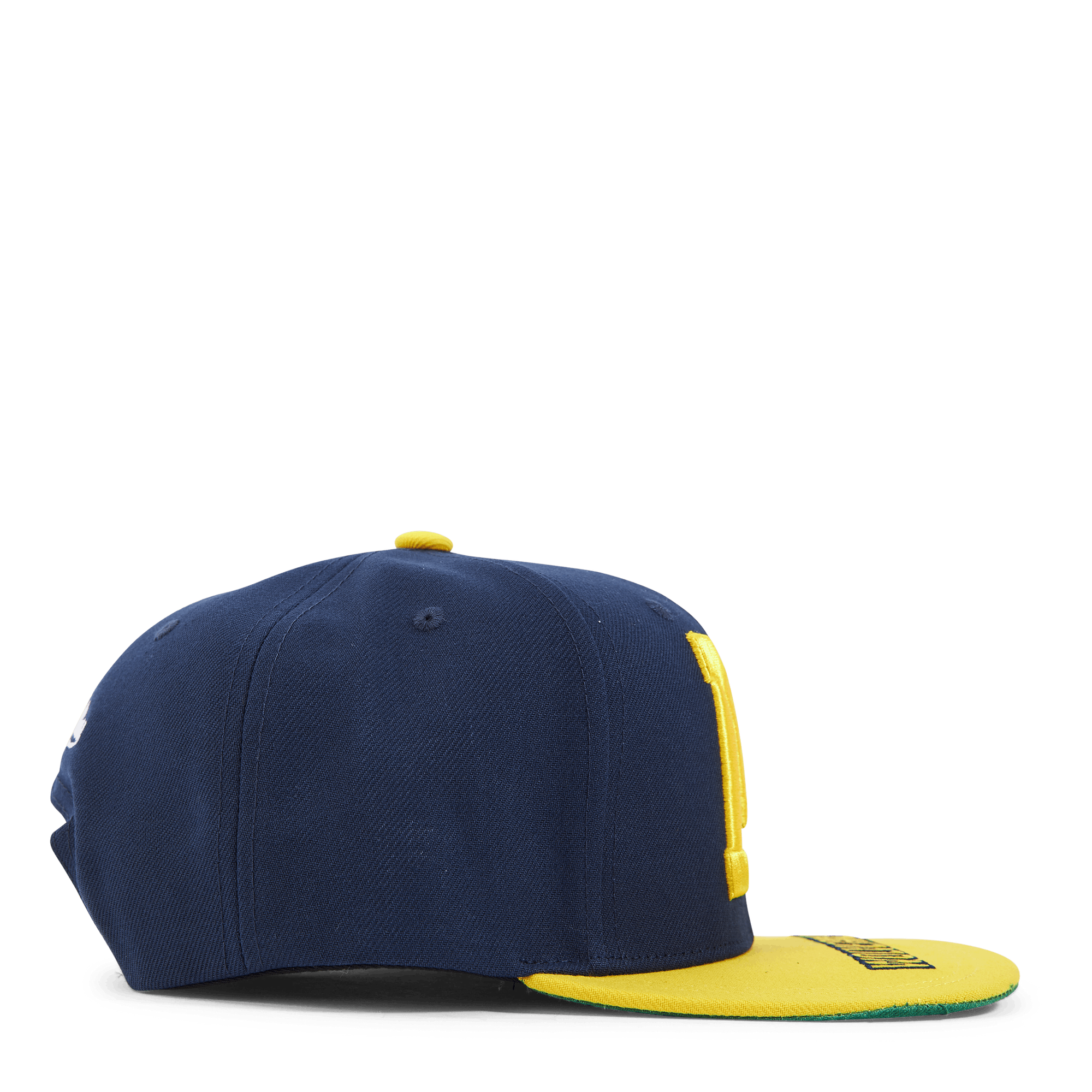 Michigan Logo Bill Snapback