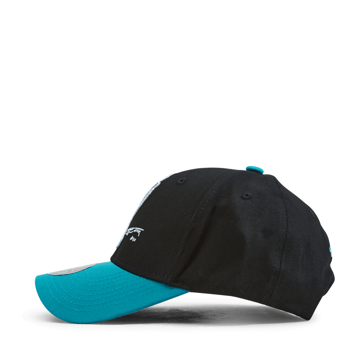 Highlight Real Snapback - Tim